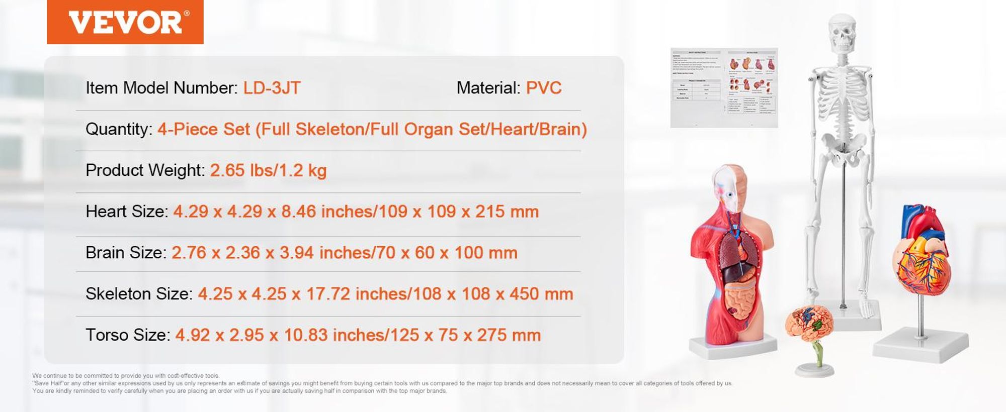 VEVOR 4-teilige Menschliche Anatomiemodelle Menschlicher Körper Anatomie Modell, Vollskelett/Vollorganset/Herz/Gehirn Abnehmbarer Menschlicher Körper