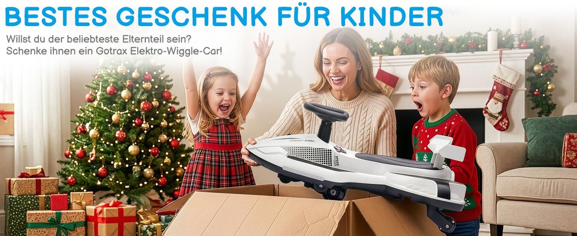 Elektroroller mit Sprühfunktion 35W 12V 4,5Ah