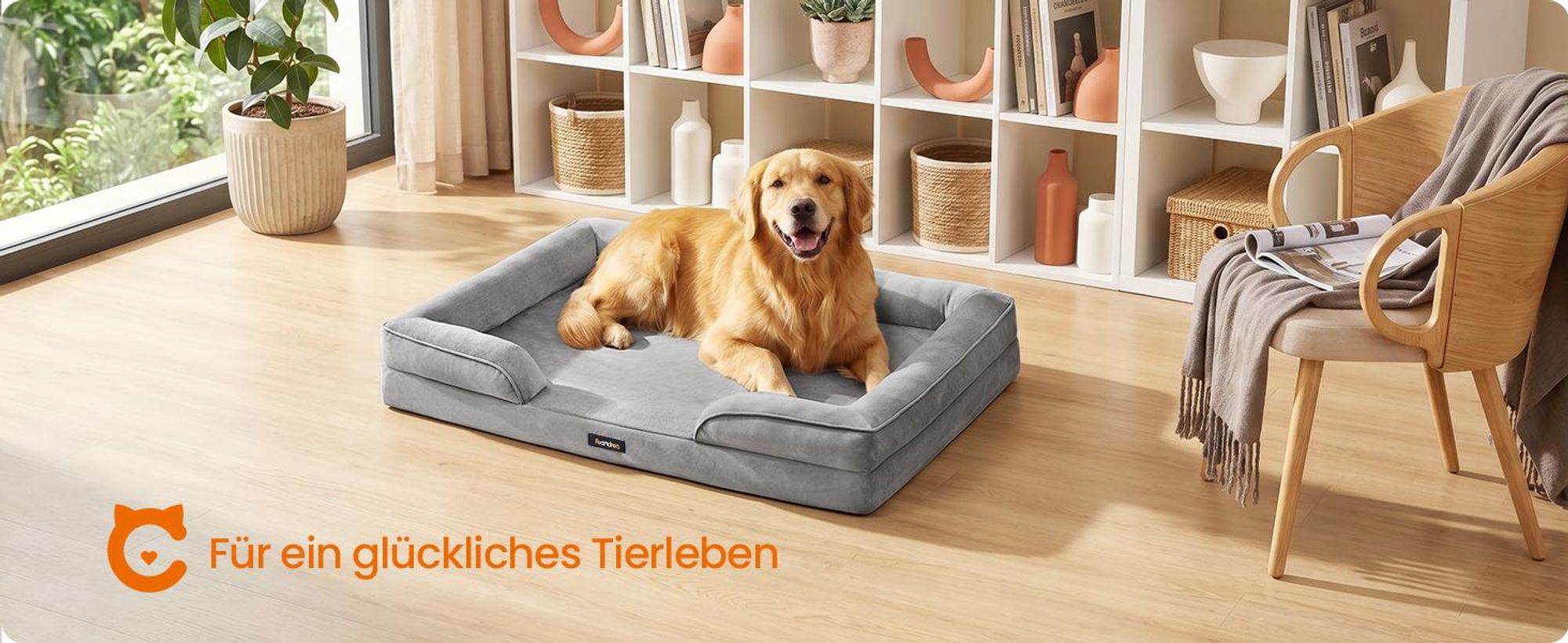 FEANDREA Orthopädisches Hundebett XXL, abnehmbarer Bezug, erhöhte Ränder, rutschfest, waschbar, Haustierbett, hellgrau
