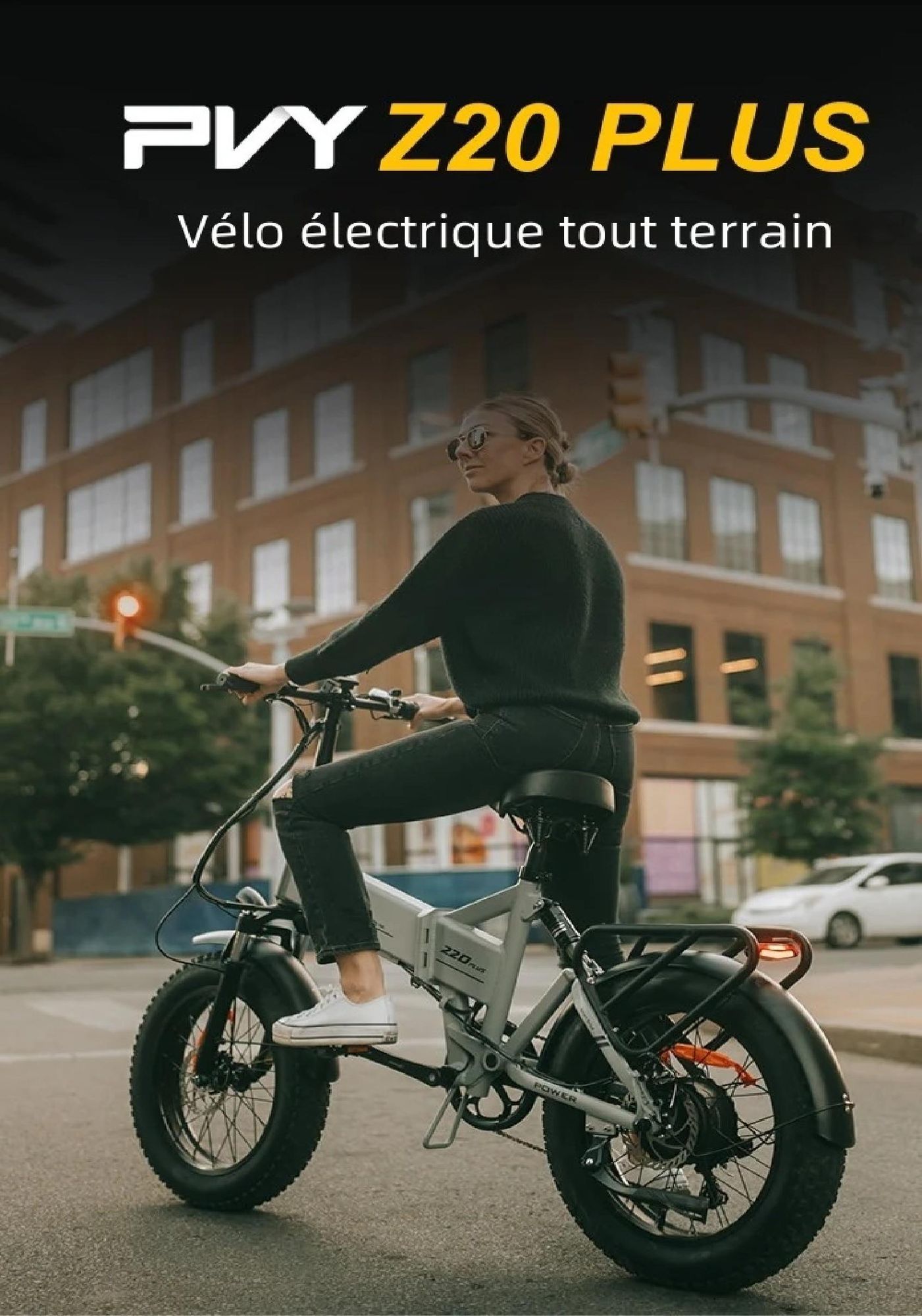 Vélo Électrique PVY Z20 Plus 1000 - Moteur 250W Batterie 48V16.5AH Freins à Disque Hydrauliques Autonomie 120KM - Gris