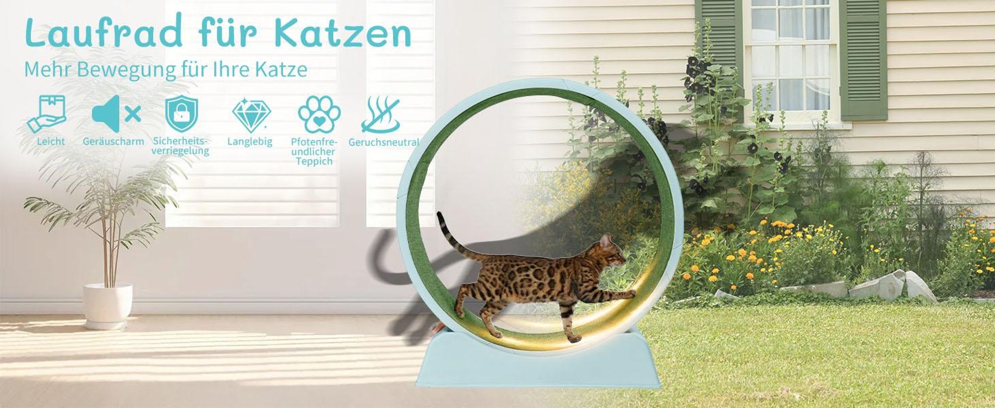 FCH Katzenlaufrad, Laufband für Katzen, Innendurchmesser 80cm, PP-Kunststoff, leise Laufband und Sicherheitsschloss-Design, Blau