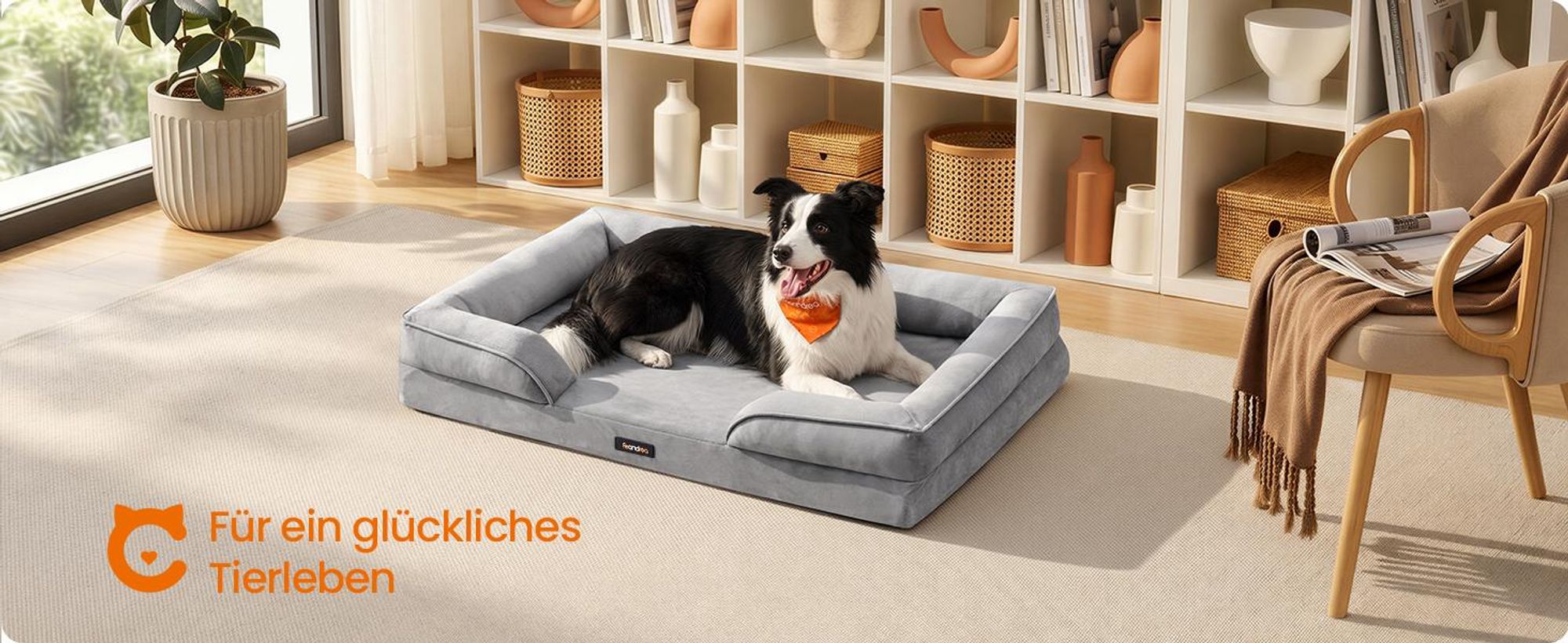 FEANDREA Orthopädisches Hundebett XL, abnehmbarer Bezug, erhöhte Ränder, rutschfest, waschbar, Haustierbett, hellgrau