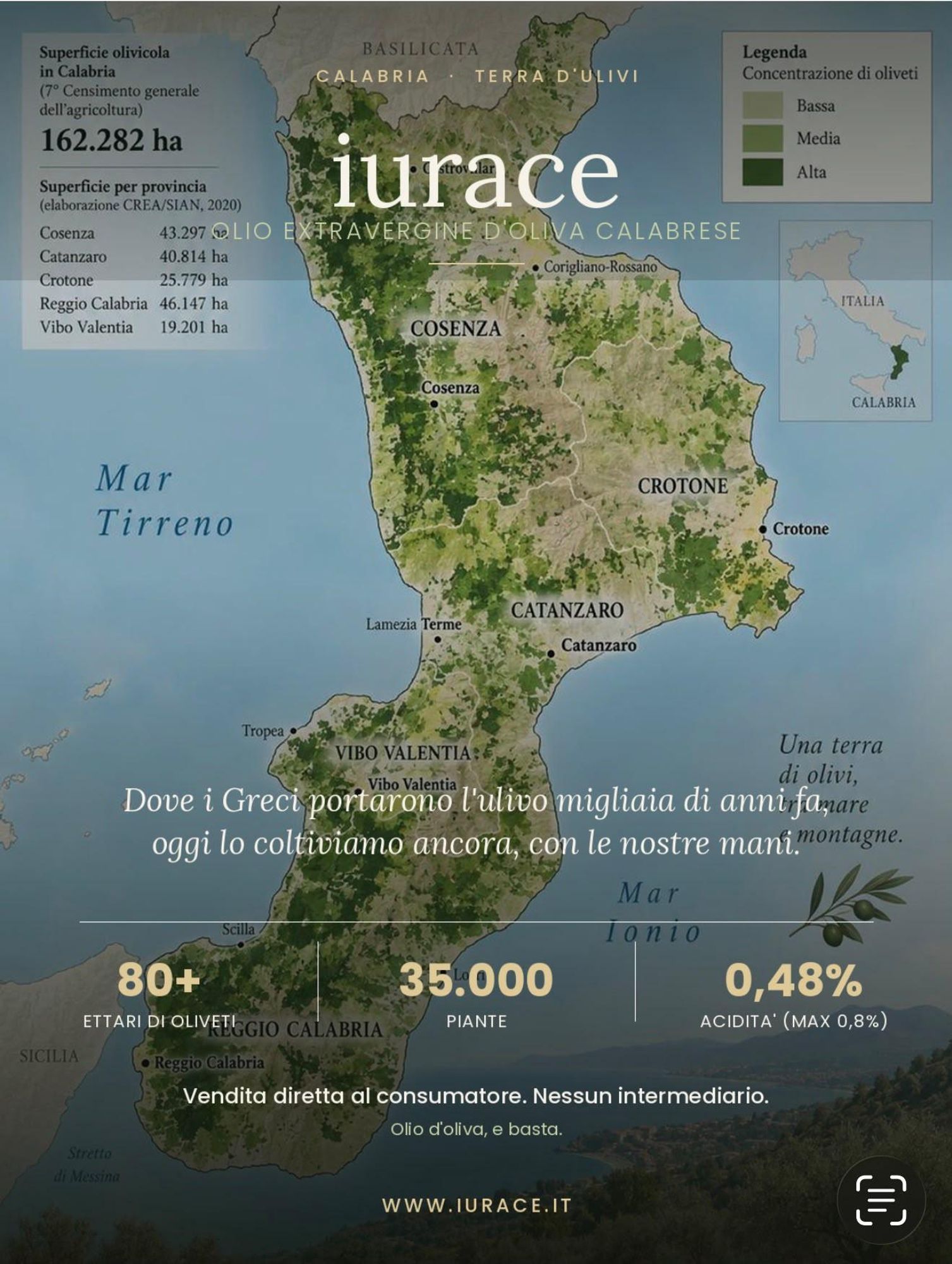 IURACE Italienisches Olivenöl Extra Vergine 5L – kaltgepresst, 100 % aus Italien, Kalabrien