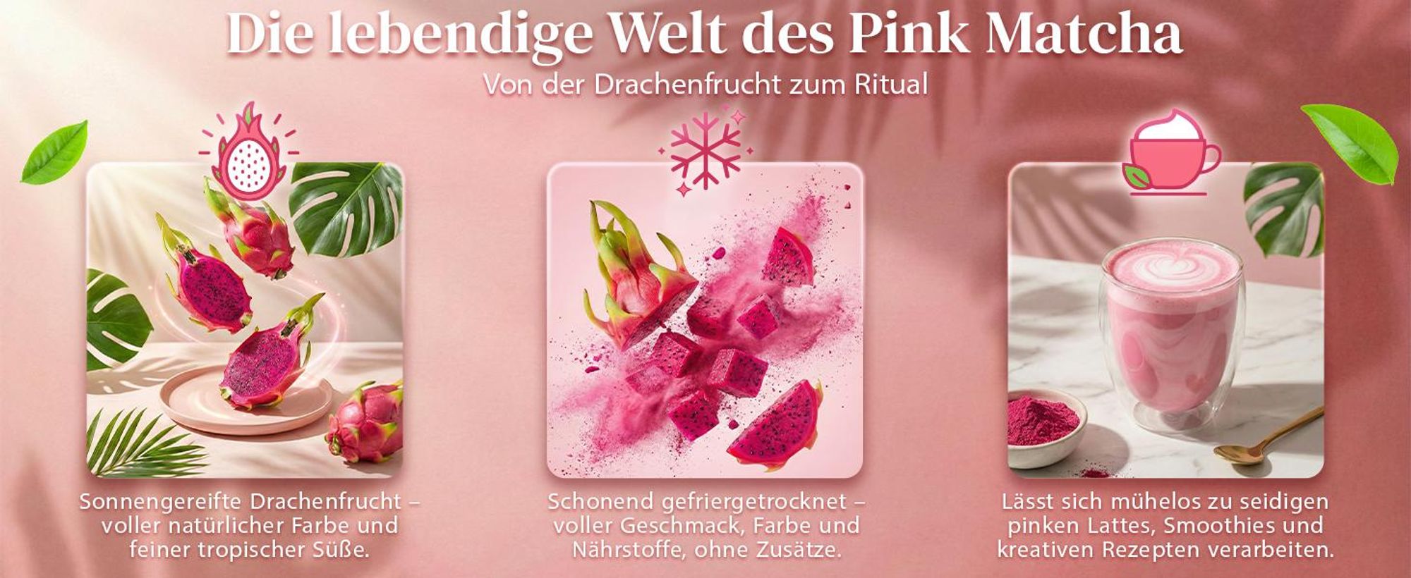 Mary Rose - Pink Matcha Tee Drachenfrucht Pulver 50g - Gefriergetrocknete Pitaya - Superfood für Latte - Lebensmittelfarbstoff - Reich an Vitamin C