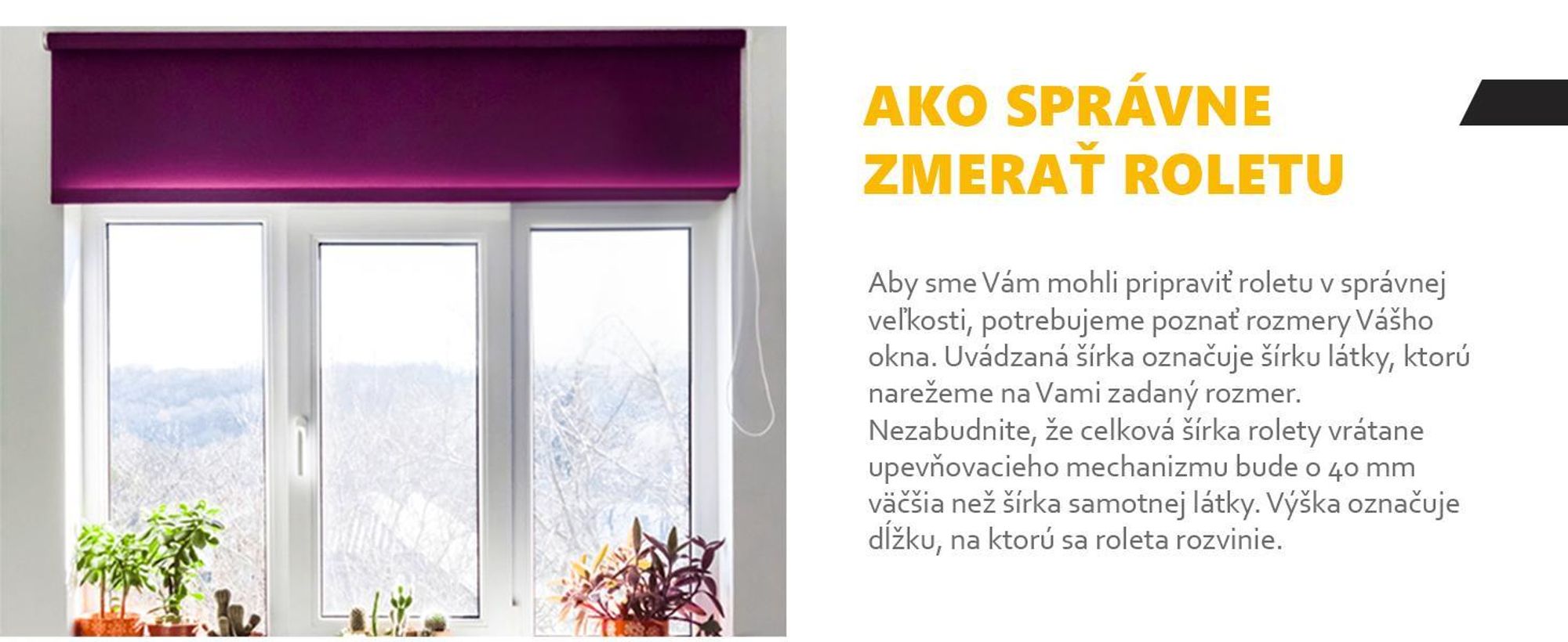 time4blinds, Rolety, Zatemňujúca roleta, Blueberry - ľavá, 170x260cm