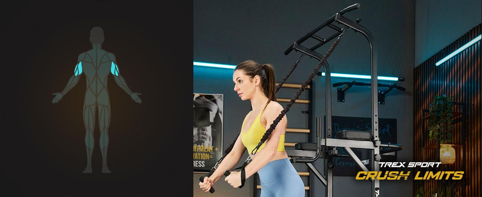 TREX SPORT Power Tower Dip Station & Klimmzugstange freistehend TX-150PR | multifunktionaler Kraftturm mit Expandern | Fitness Kraftstation bis 150 kg