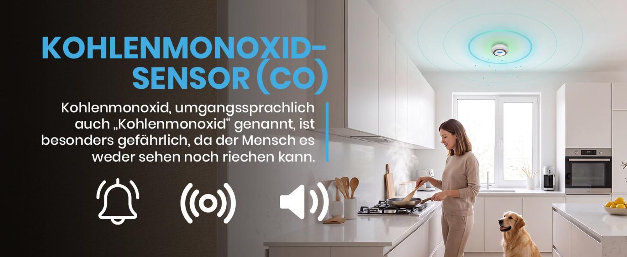 Rauchmelder Kohlenmonoxidmelder CO mit LCD Kohlenmonoxid- & Rauchsensor 85 dB