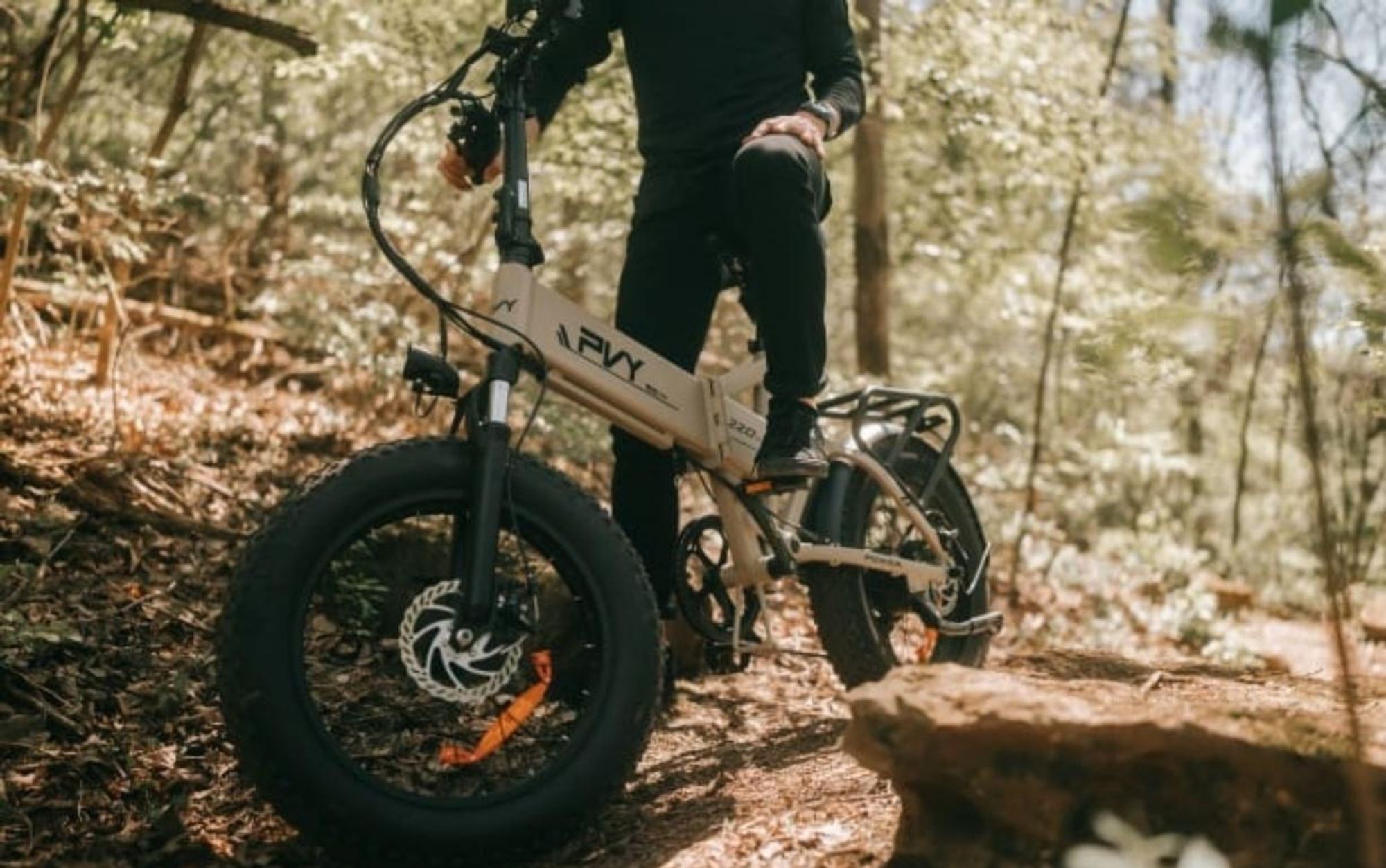 Elektrický bicykel PVY Z20 Plus 1000 - 250W motor 48V16.5AH batéria dojazd 120KM hydraulické kotúčové brzdy - sivá