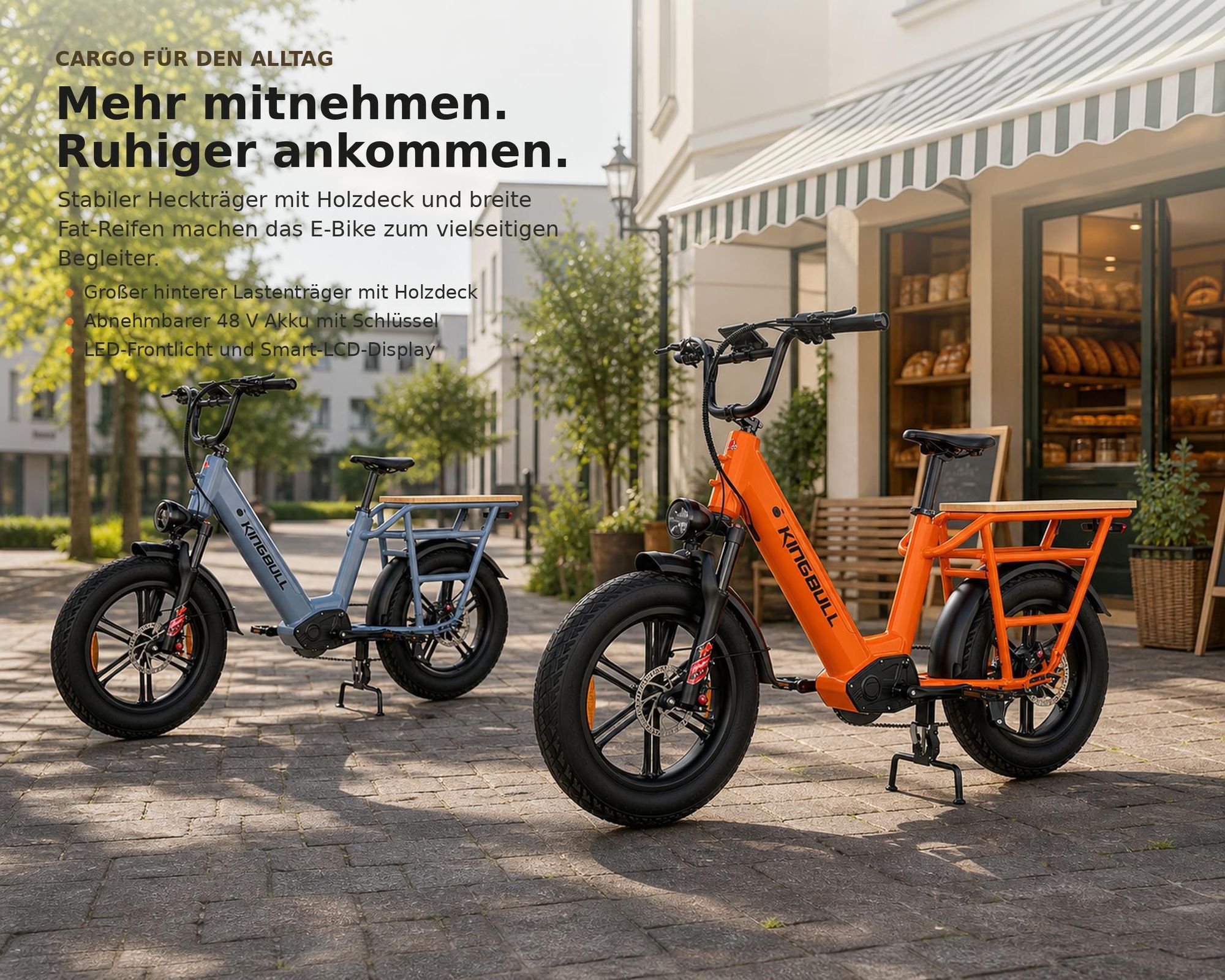 Cargo E-Bike 20 Zoll Fat-Reifen mit 960Wh Akku und bis zu 100 km Reichweite, 250W Heckmotor, Shimano Schaltung, Hydraulische Scheibenbremsen