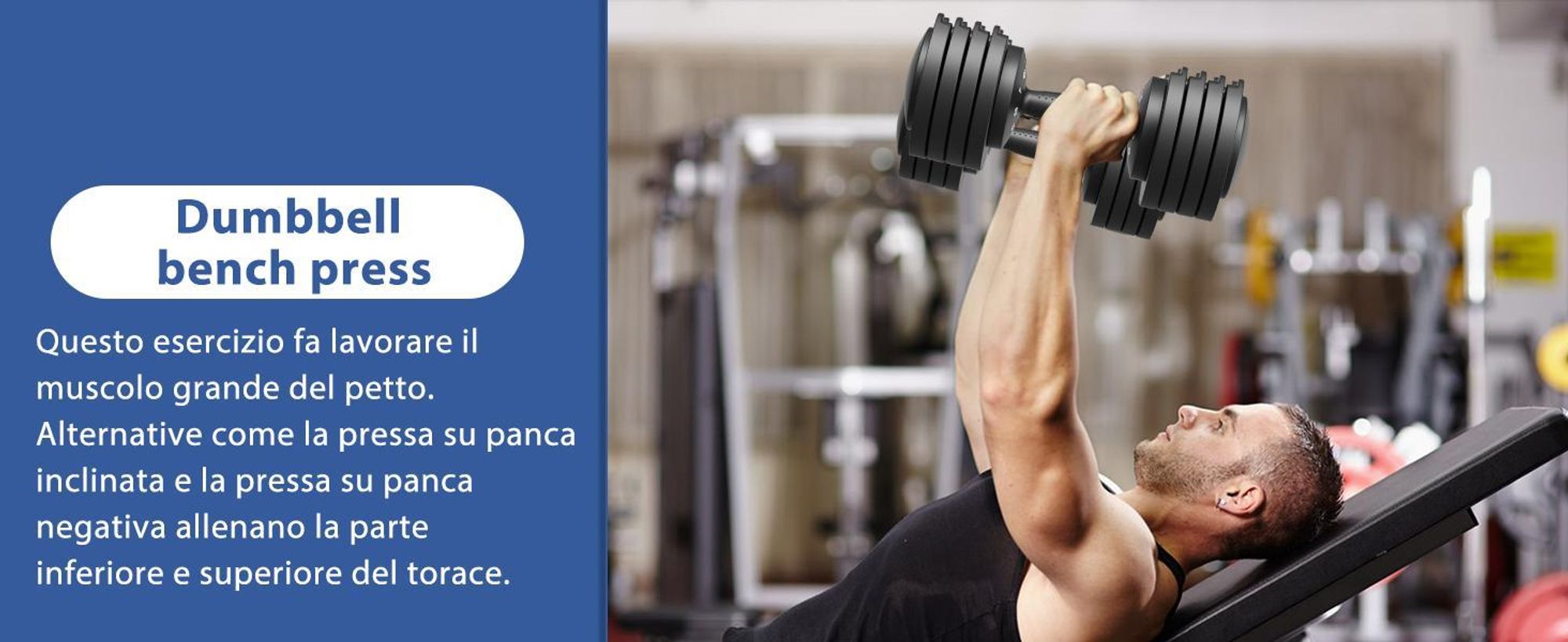DH FitLife Set Manubri Regolabili 2-12 kg con 5 Livelli di Peso e Base Porta Pesi per Allenamento Casa