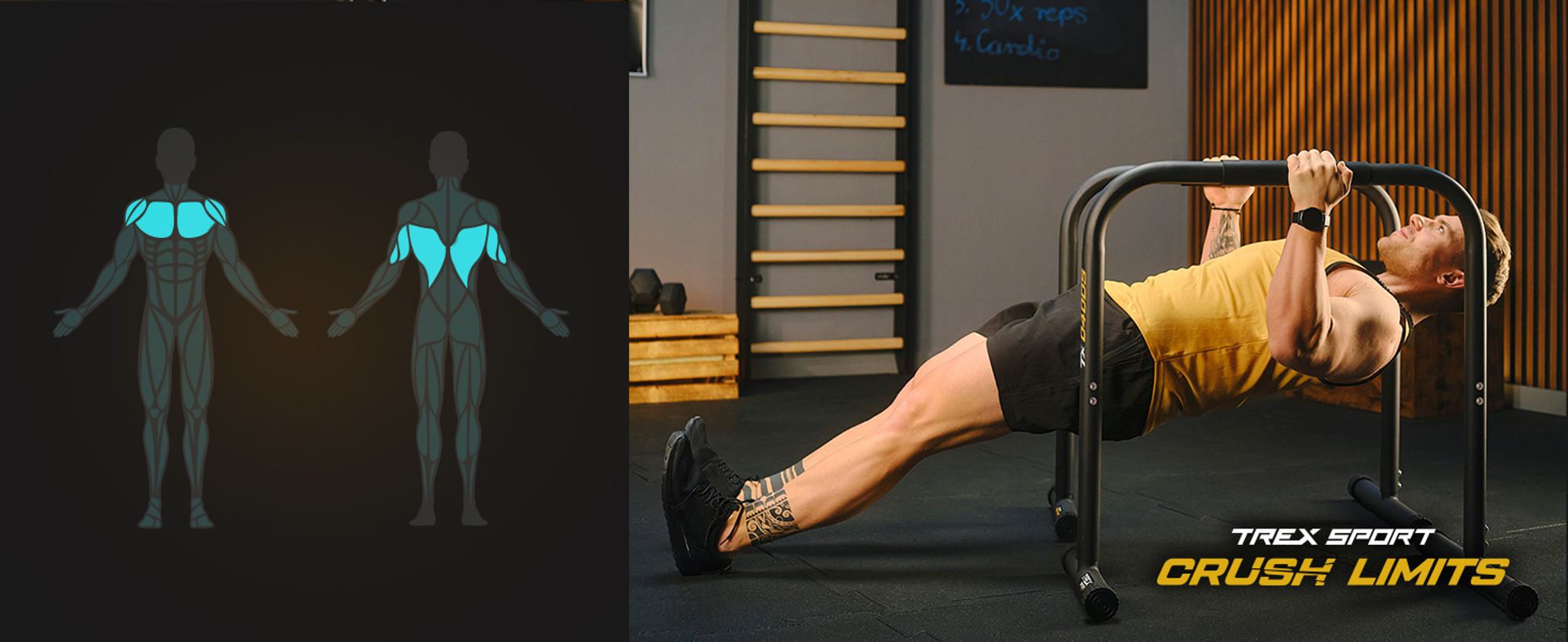 TREX SPORT Dip Barren 2er Set TX-040DS | Dip Station bis 200 kg, höhenverstellbar | Parallettes Calisthenics Equipment