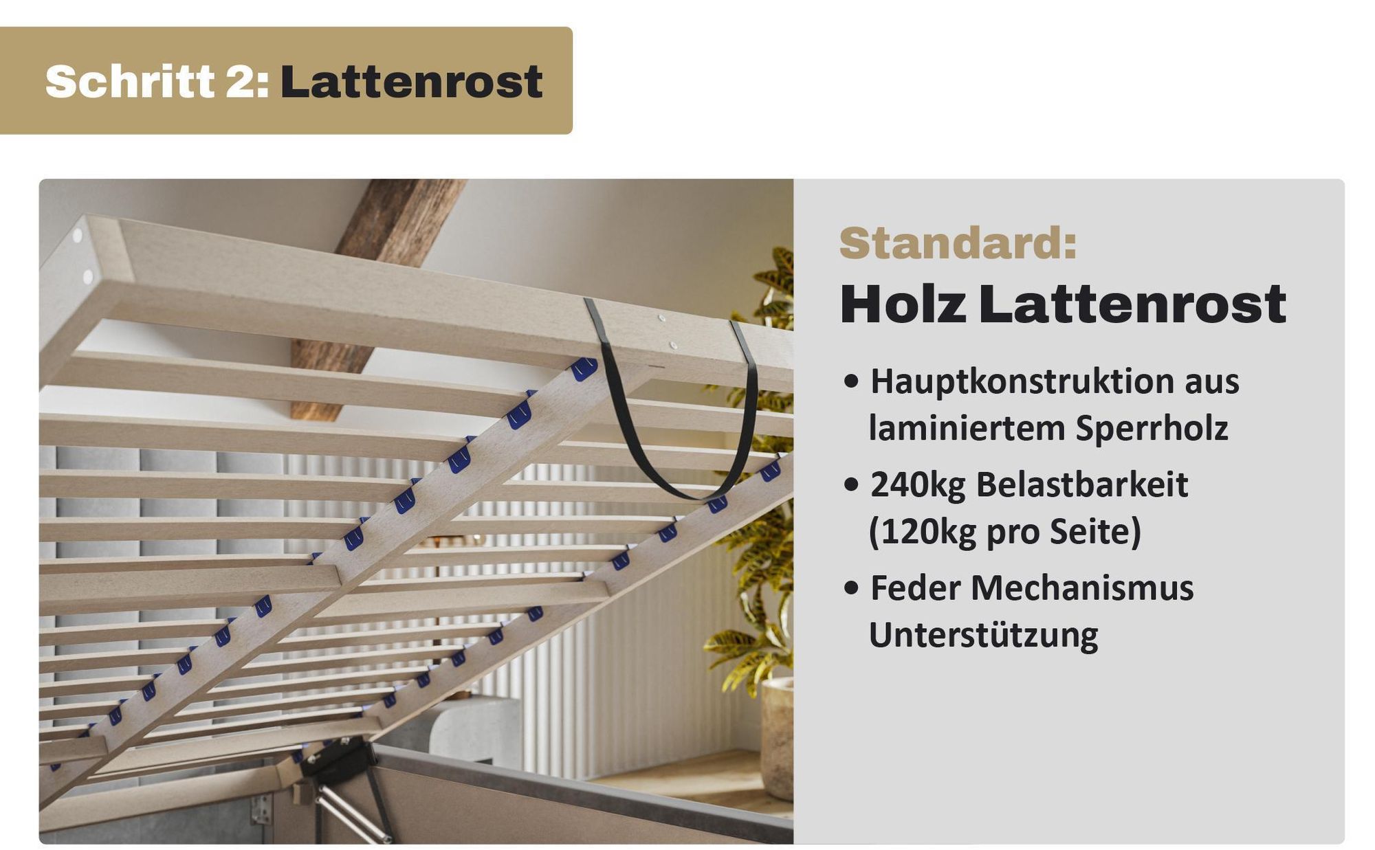 MOTIVENA Vigo Polsterbett 200x200 mit Bettkasten, Metall Lattenrost, Bett 200x200 Grau Samt (Jasmine 90)