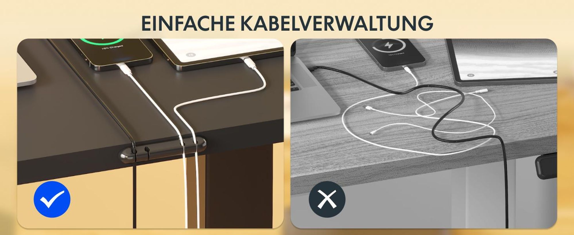 FLEXISPOT QE1 Höhenverstellbarer Schreibtisch 120x60cm EINTEILIGE TISCHPLATTE, 4 Memory-Funktion, Antikollisionsschutz, Haken&Kabelmanagement(Schwarz)