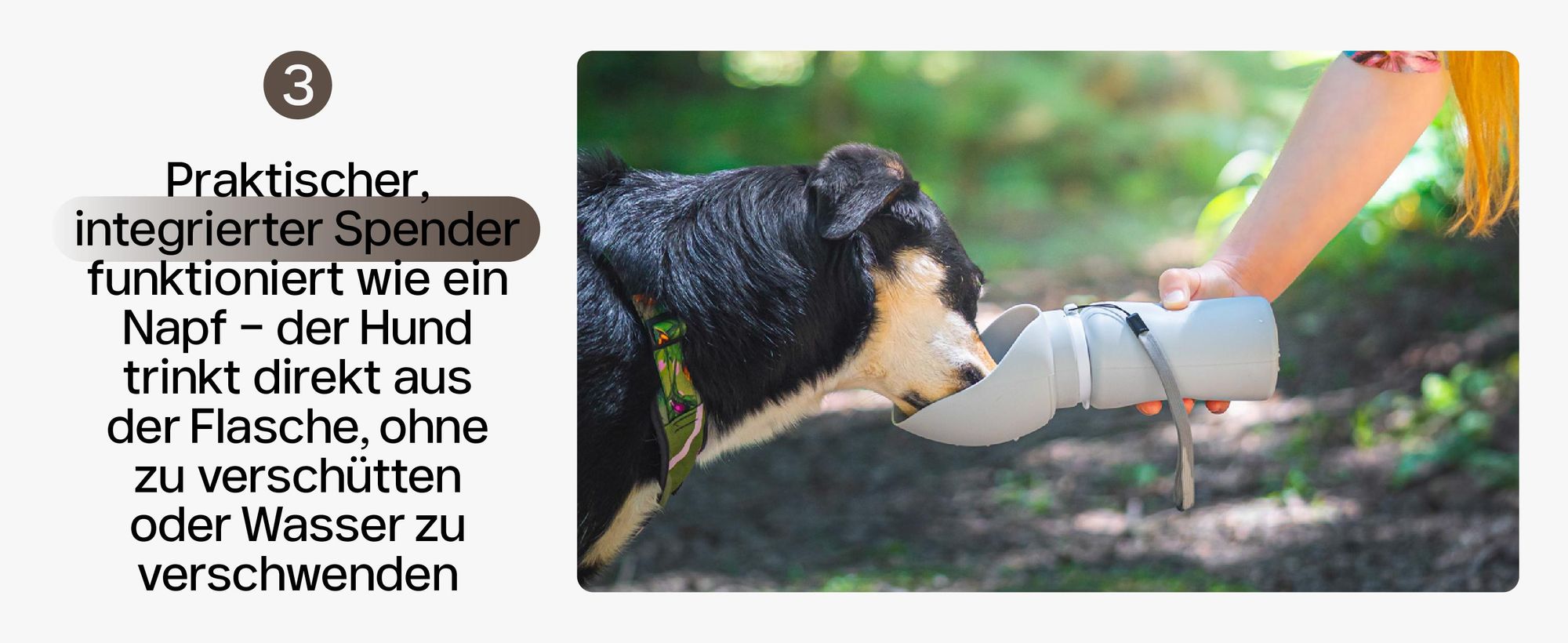 Trinkflasche Wasserflasche faltbar RAGI 550ml Silikon Napf Hunde Katzen Haustier unterwegs Reise auslaufsicher Wasserspender Camping Wandern