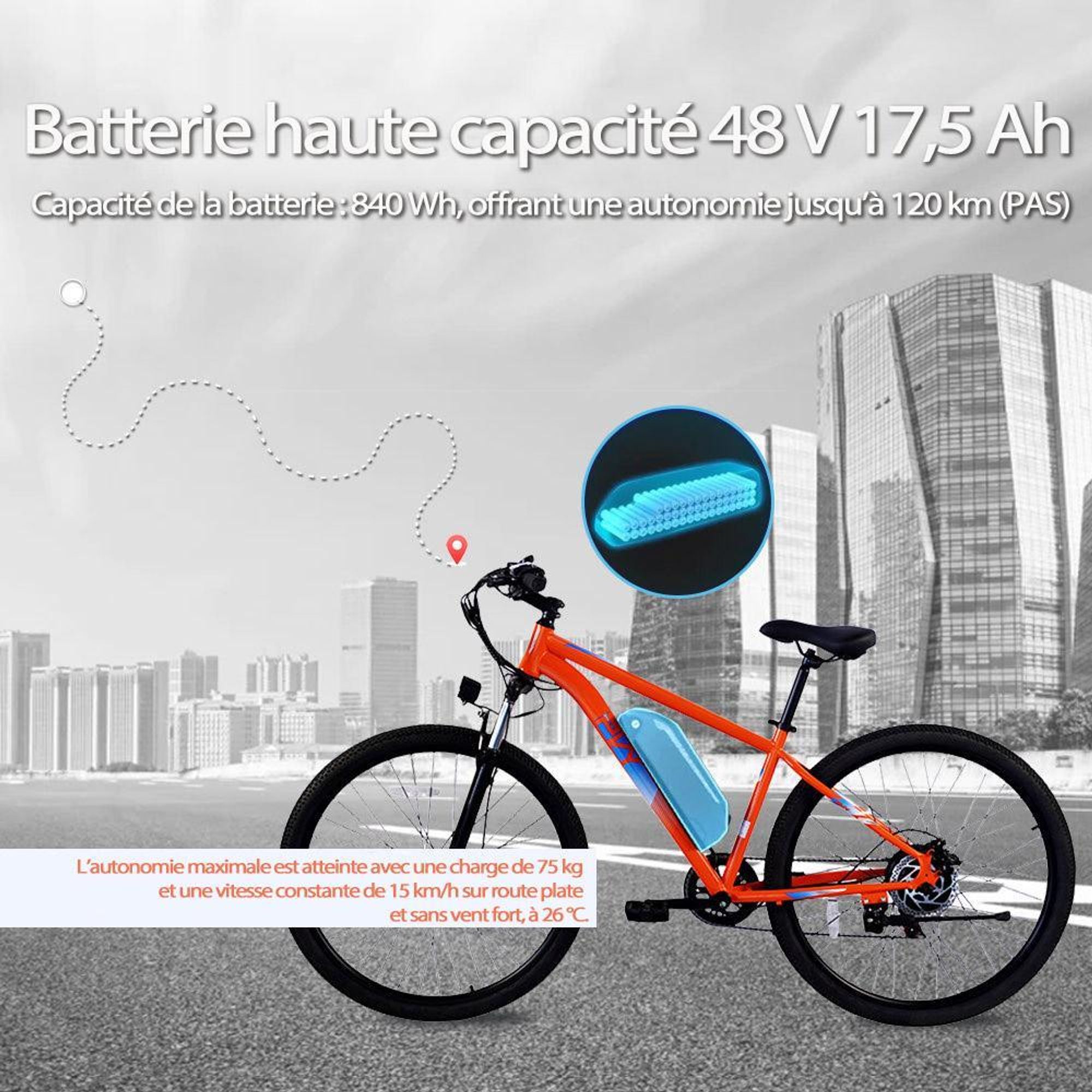 PVY M29 Vélo Électrique - Moteur 250W Batterie 48V17.5AH Pneus 29" Freins à Disque Mécaniques - Gris
