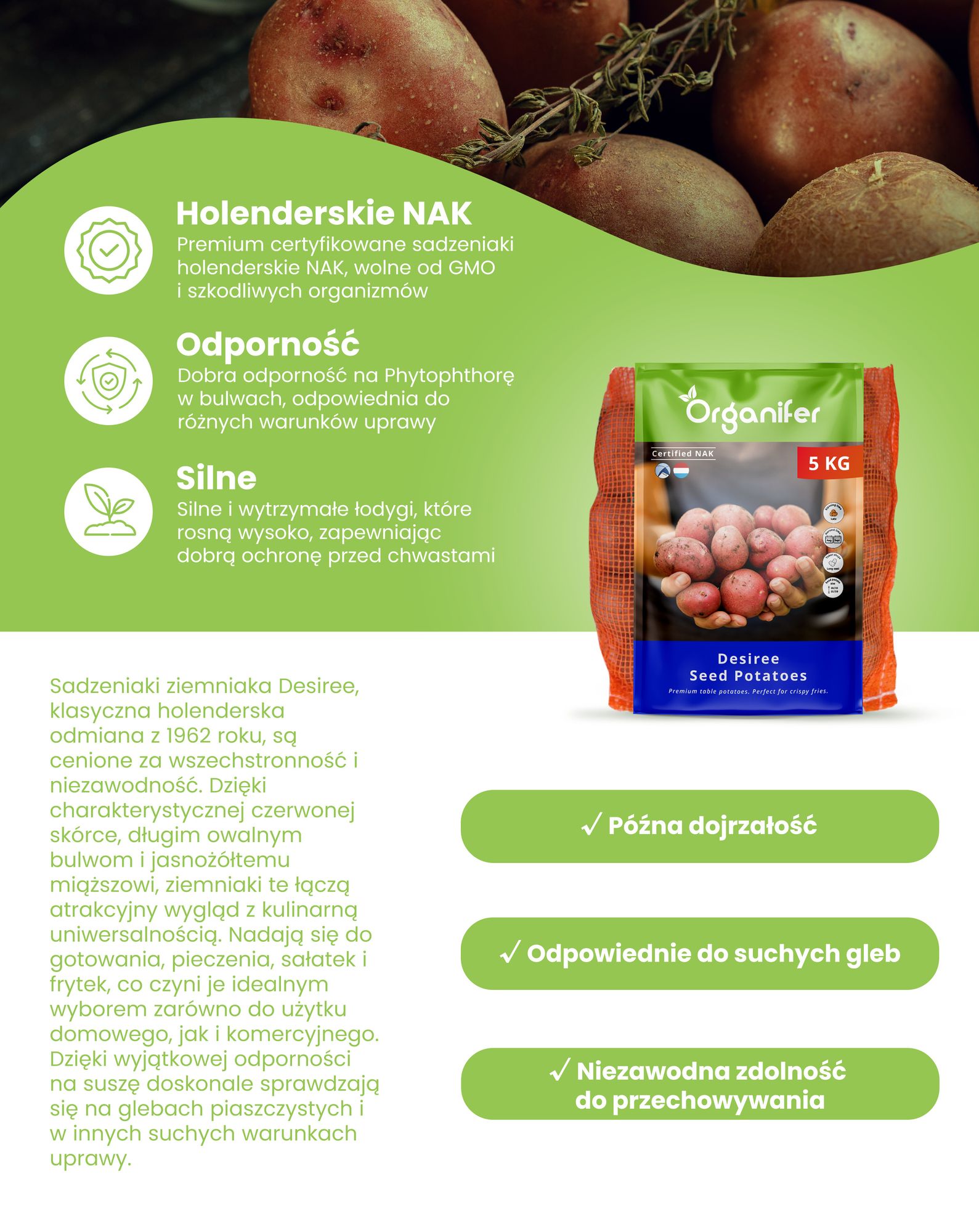 Sadzeniaki ziemniaka Desiree A 28/35 (40x = 1000 kg) - Organifer