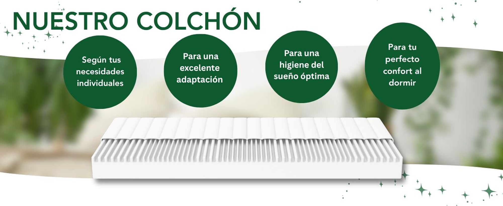 Colchón de espuma fría ergonómico de 7 zonas | 80 x 200 cm | 11 cm | Firmeza H2 y H3 | DREAMSTAR Easy Flex