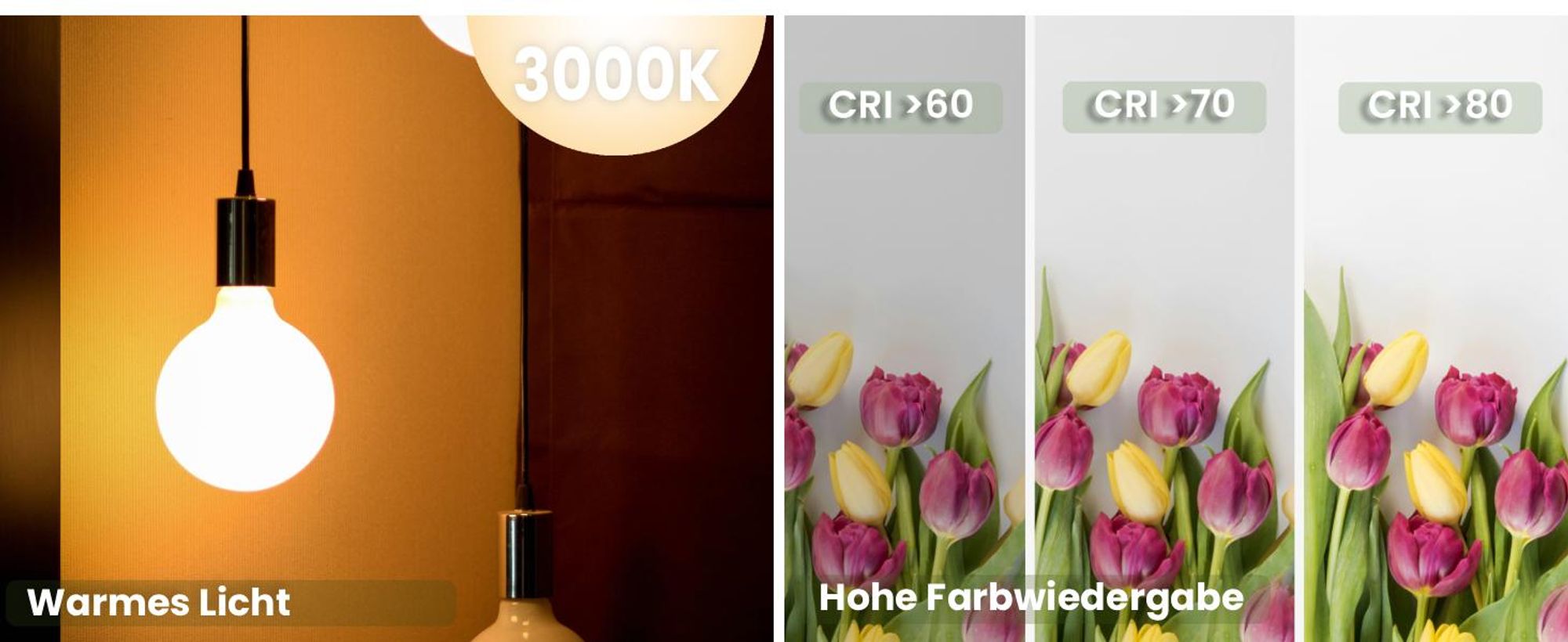 LUMILED 3x E27 LED Lampen G95 Vintage Globe 8W Ersetzt 75W Glühlampe 880lm Leuchtmittel 3000K Warmweiß Glühbirne milchig Filament Glas Große Kugel Deko 3 Stück Birnen Haus Café Bar ?95mm