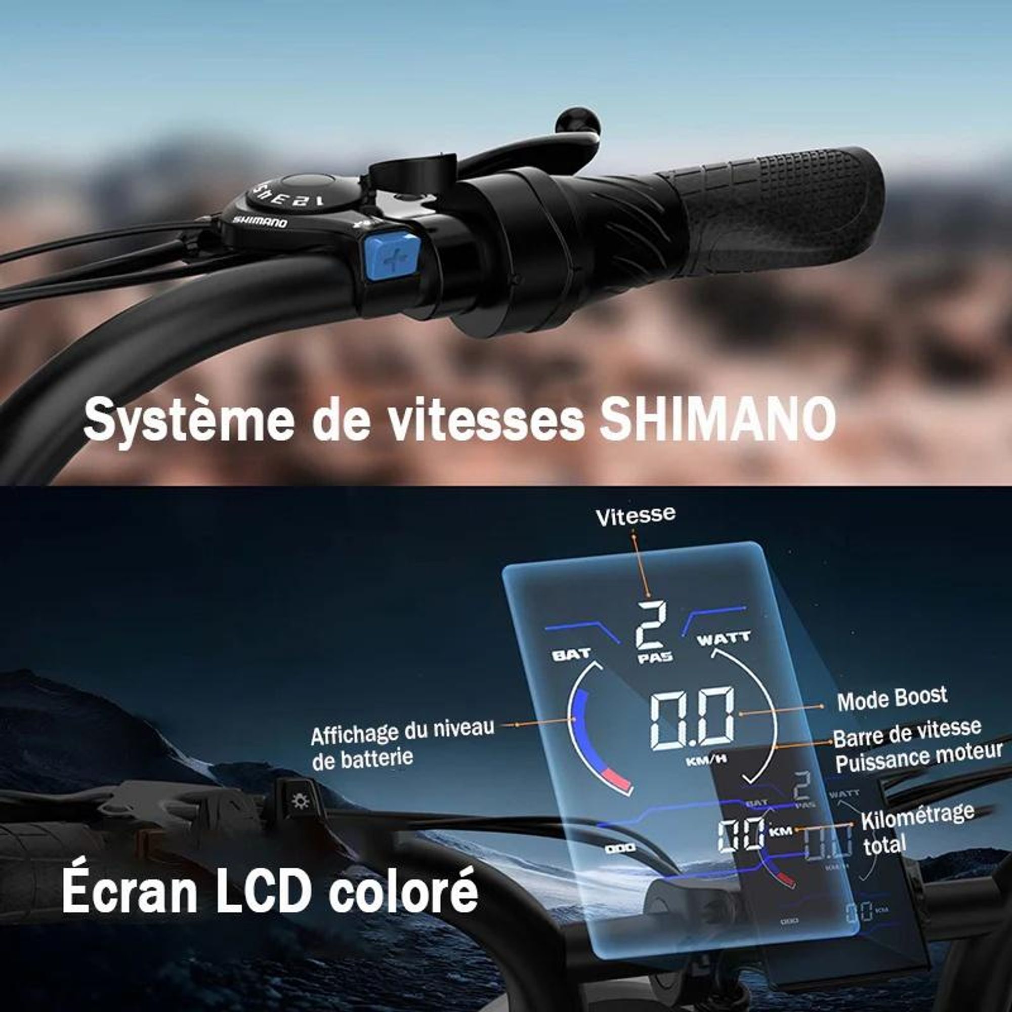 URLIFE T2 Vélo Électrique - Moteur 250W Batterie 48V 15.6Ah Pédalier assisté Freins à disque - NoirFreins à disque - Noir