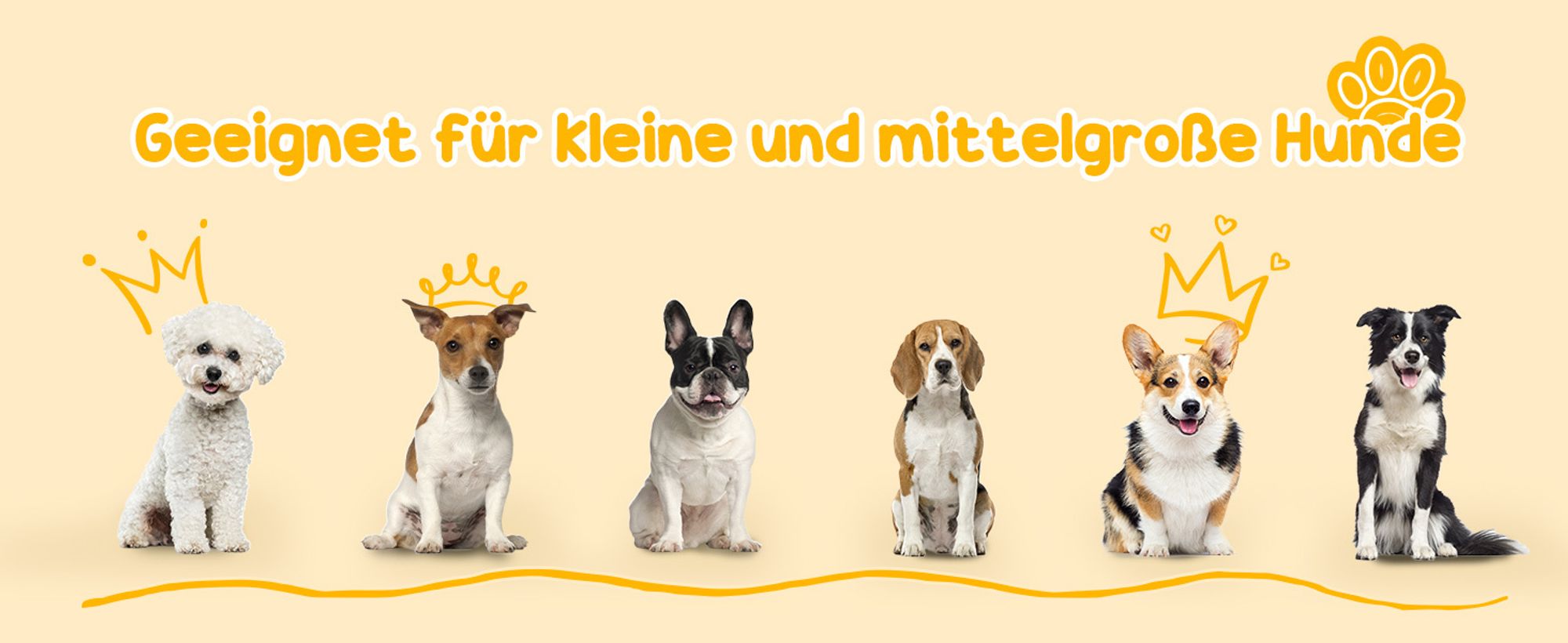 PawHut Rattan Hundehaus Hundebett mit Kissen Hausform Outdoor Hundehütte Grau