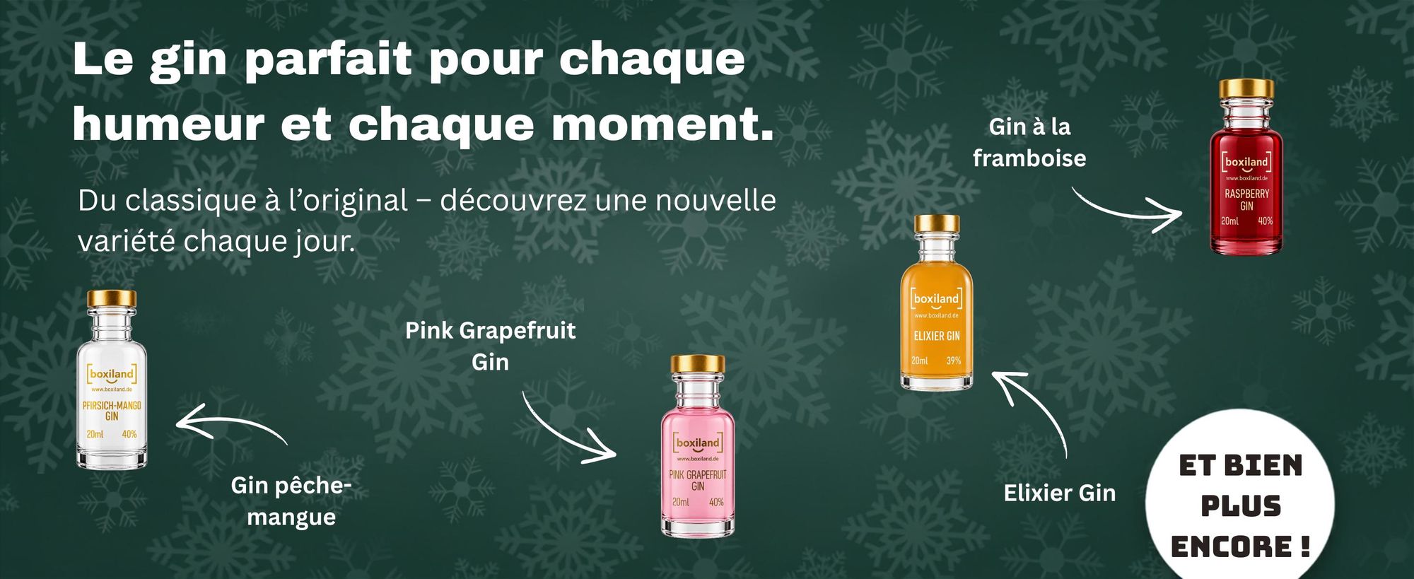 BOXILAND® calendrier avent gin 2026, 24 variétés à 0,02 l, dégustation gin