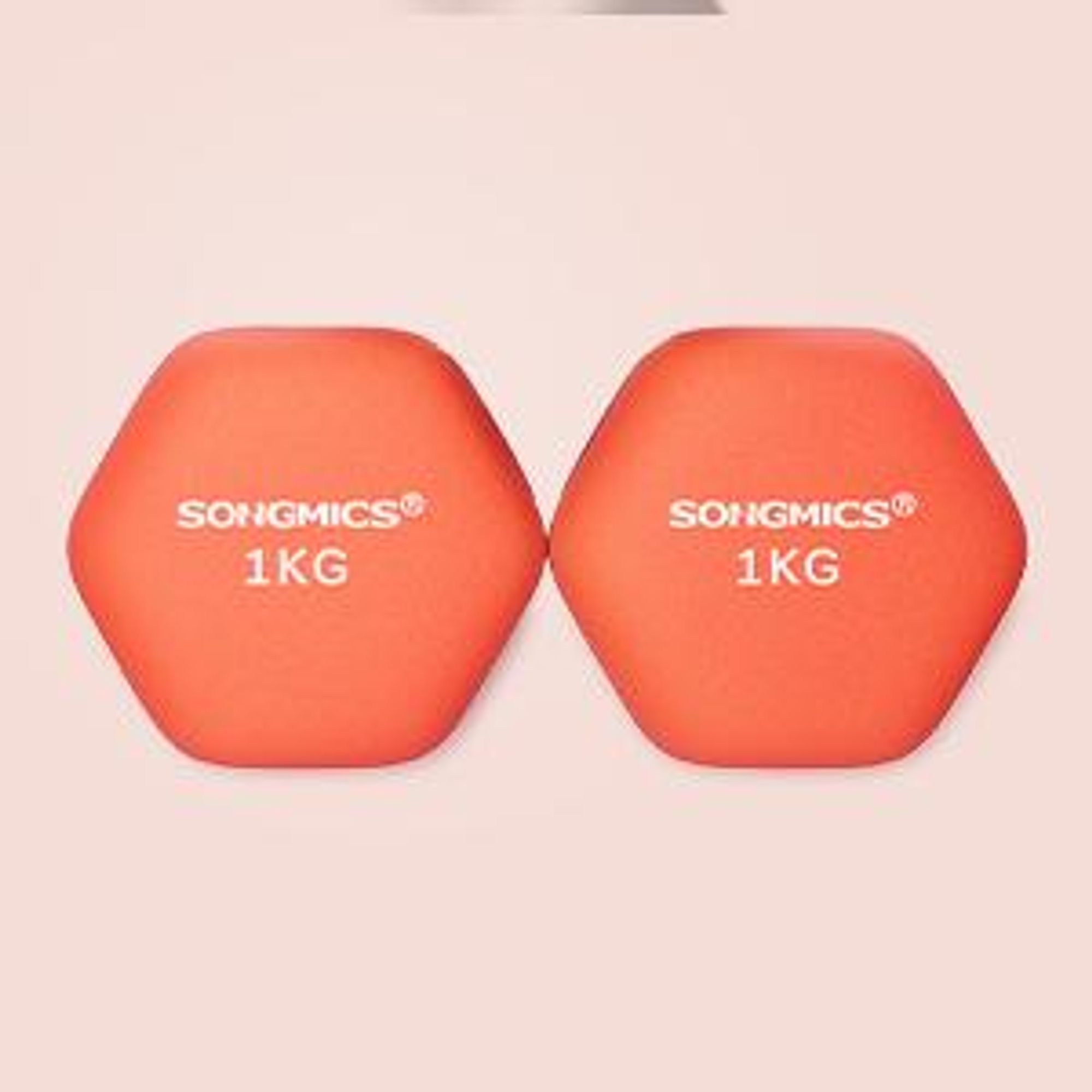SONGMICS Hanteln, 2er Set, 2 x 1 kg, Hantelset, Kurzhanteln, Hexagon, Neopren-Beschichtung, Krafttraining, Workout, Fitnesstraining, für Zuhause,