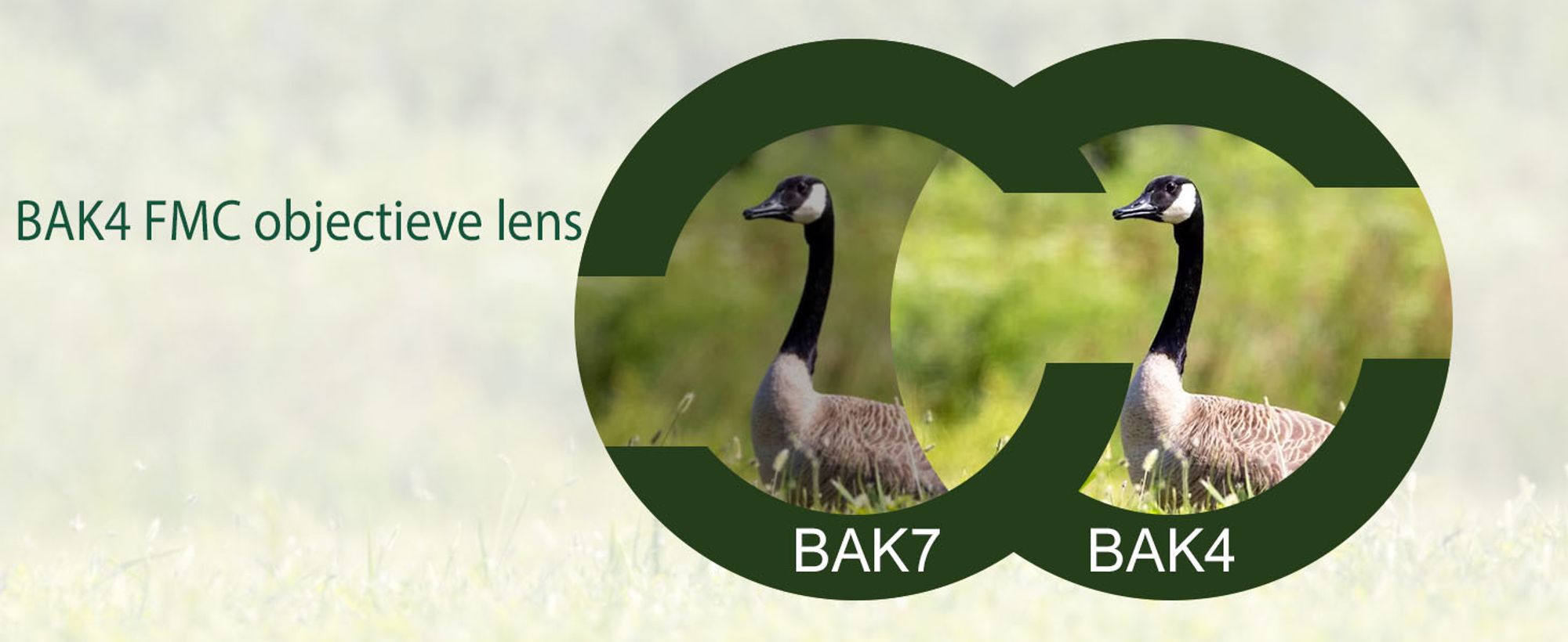 Svbony SV28 Spektiv 25-75x70 Abgewinkeltes Okular Wasserdicht BAK4 Prisma Monokular mit Stativ Handy Adapter Tragetasche Spektive für Sportschützen Vogelbeobachtung