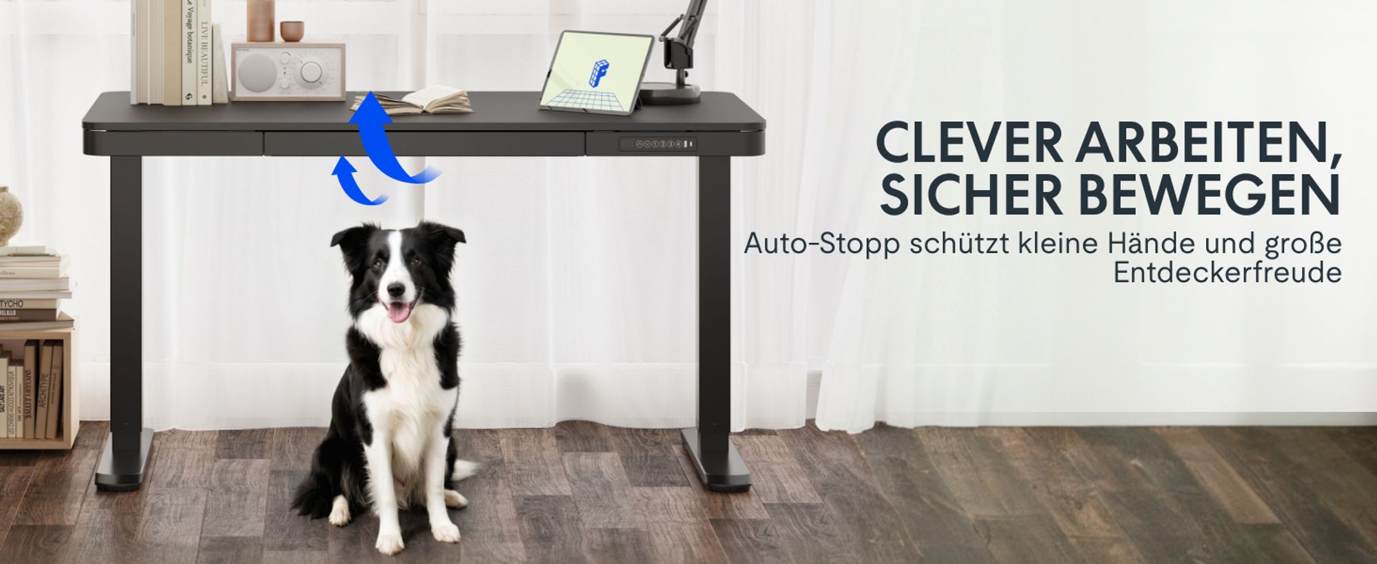 FLEXISPOT Q3 Höhenverstellbarer Schreibtisch Elektrisch mit Schublade, USB A&C, 4 Speicherplätzen, Antikollisionsschutz, LED-Display 120x60cm(Schwarz)