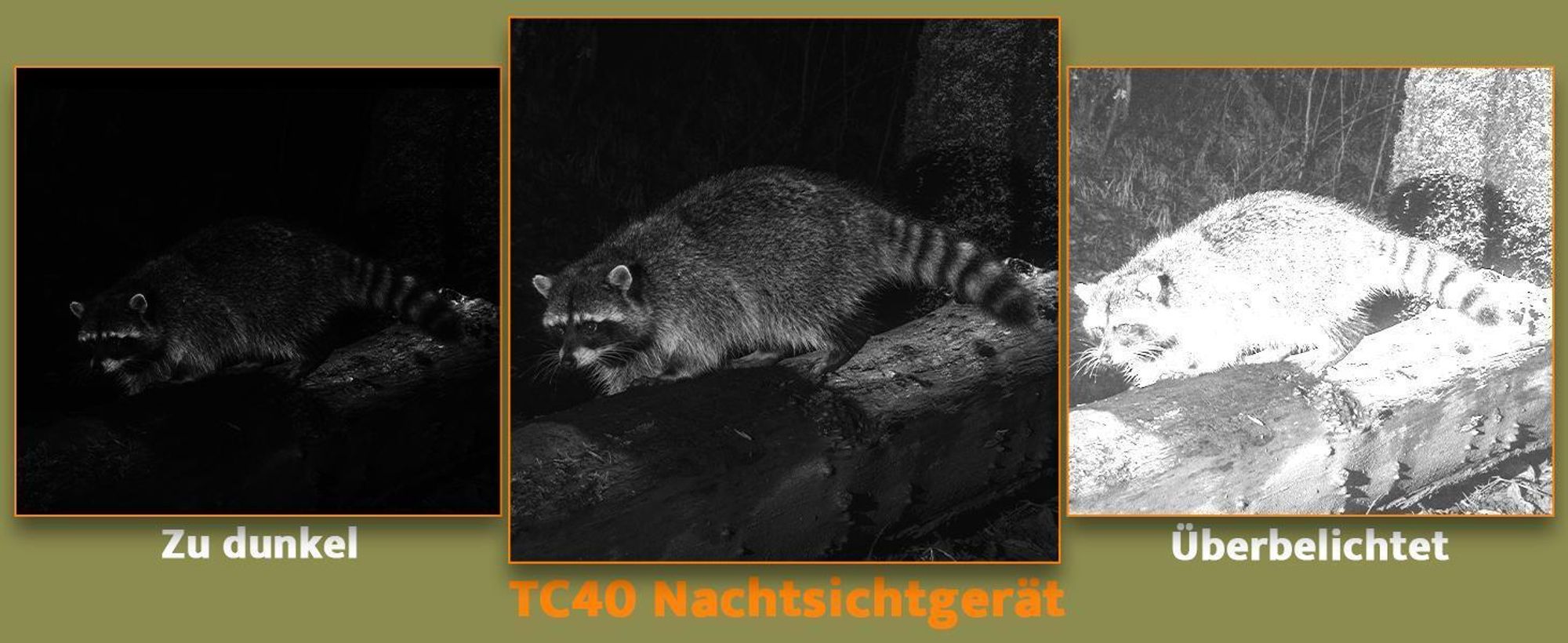36 Infrarotlampen bei 850 nm verbessern die Nachtsicht