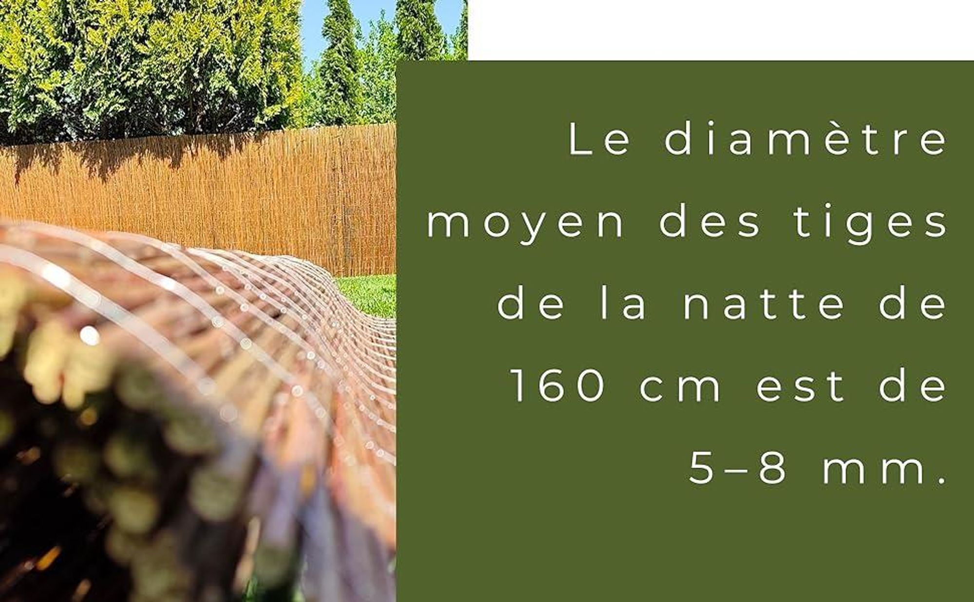 Canisse Osier 100 x 150 cm Clôture de Saule -Canisse Brise Vue Balcon et Patio - Cloture Jardin Exterieur - Protection contre le vent & le soleil