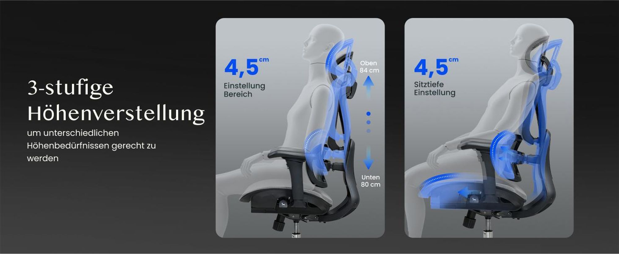 FLEXISPOT Sentinel Ergonomischer Bürostuhl mit Dual-Wing Lendenstütze, 3D-Kopfstütze, 3D-Armlehnen, verstellbarer Sitztiefe & Rückenlehne (Schwarz)