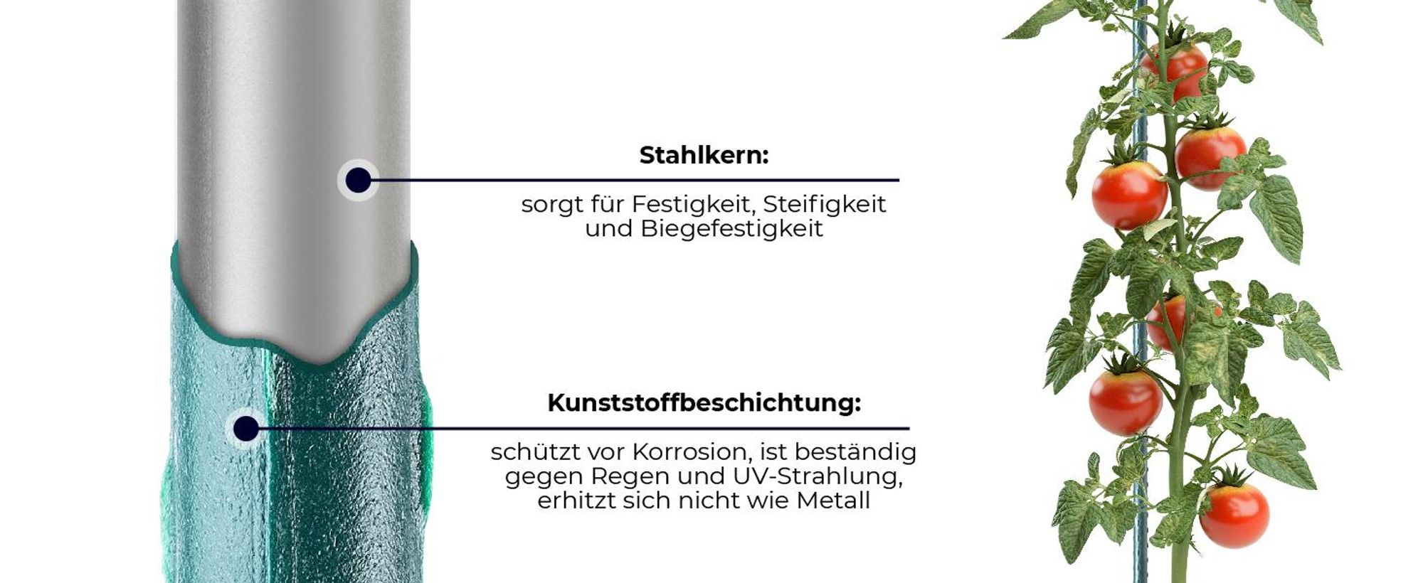 KADAX Blumenstütze aus Stahl "Trang", Pflanzen-Rankstab, Rankhilfe mit Häkchen, Grün, 150 cm, 10 Stück