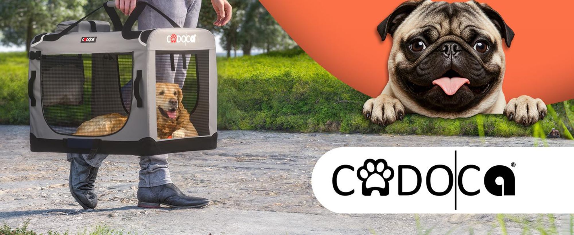 Faltbare Hundetransportbox 60x42x44 cm mit gepolsterter Liegedecke und Trinknapf
