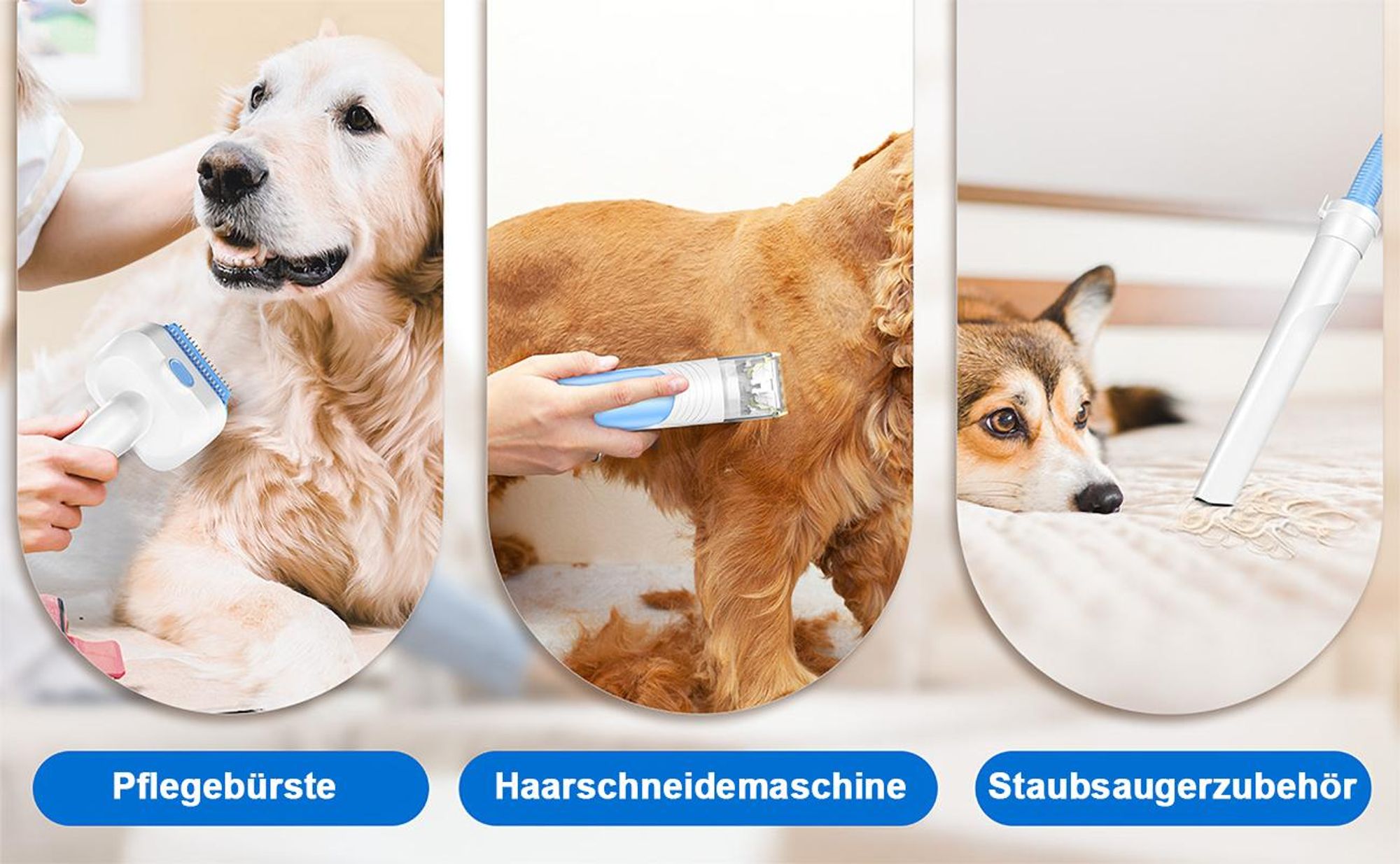 Tierhaarpflege-Set mit Absaugung 5 in 1, Hundeschermaschine & Tierhaarstaubsauger, 13 kPa, 4,5 L Staubbehälter, leise, für Hunde und Katzen