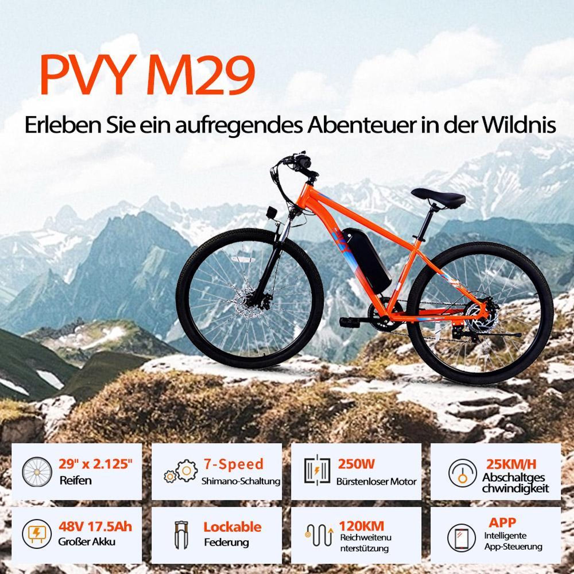 PVY M29 Elektrisches Fahrrad - 250W Motor 48V17.5Ah Batterie 29 Zoll Mechanischen Scheibenbremsen - Grau