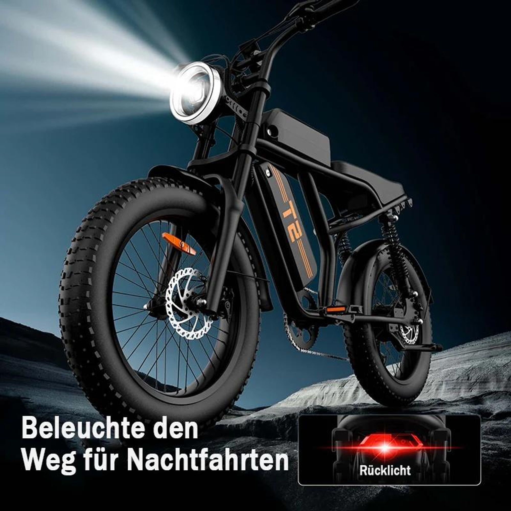 URLIFE T2 Elektrisches Fahrrad - Motor250W Batterie 48V 15.6Ah mit Scheibenbremse Trittunterstützung - Schwarz