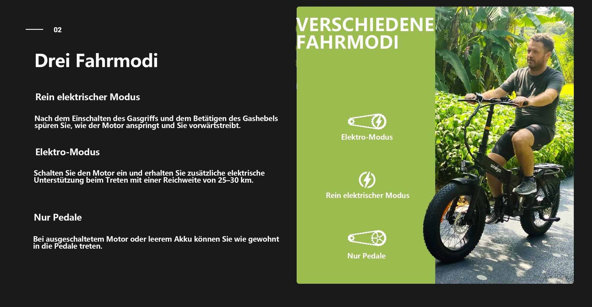 Windgoo F21 Pro Elektrisches Fahrrad - Motor 250W Batterie 48V 12.5Ah 20x4.0 Zoll Fett - Schwarz