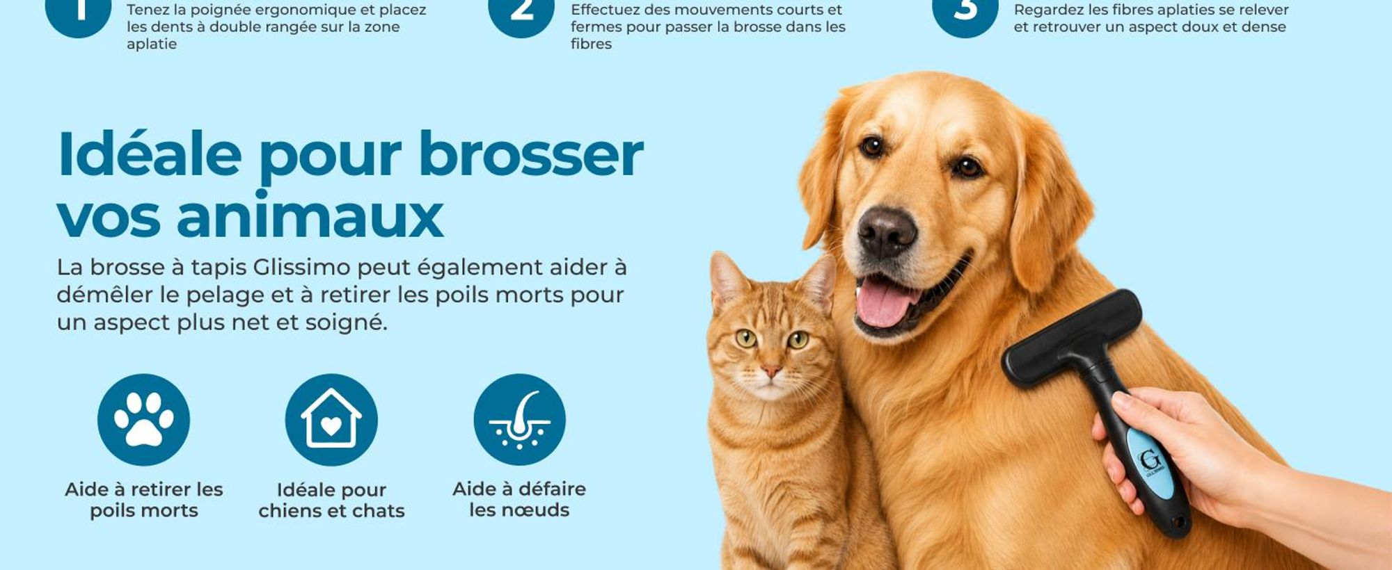 Brosse pour tapis Glissimo pour redonner du volume aux fibres convient aux animaux domestiques pour réparer les tapis aplatis design ergonomique