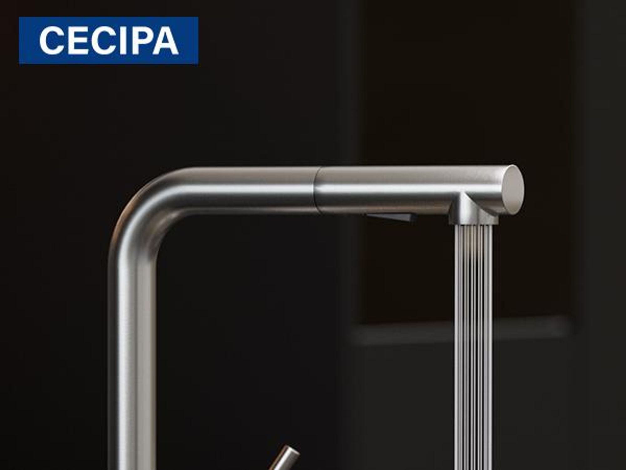 CECIPA MAX Küchenarmatur Ausziehbare Küchenarmatur mit Brause, Hochdruck-Mischbatterie für die Küche mit 2 Strahlarten, Spültischarmatur aus Edelstahl