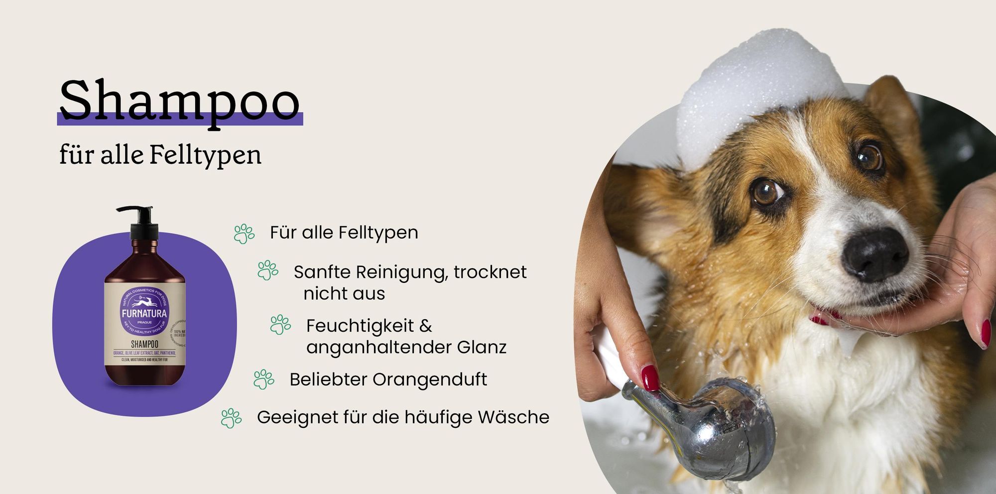 Natürliches Hundeshampoo für alle Felltypen mit Haferöl und Olivenblattextrakt.