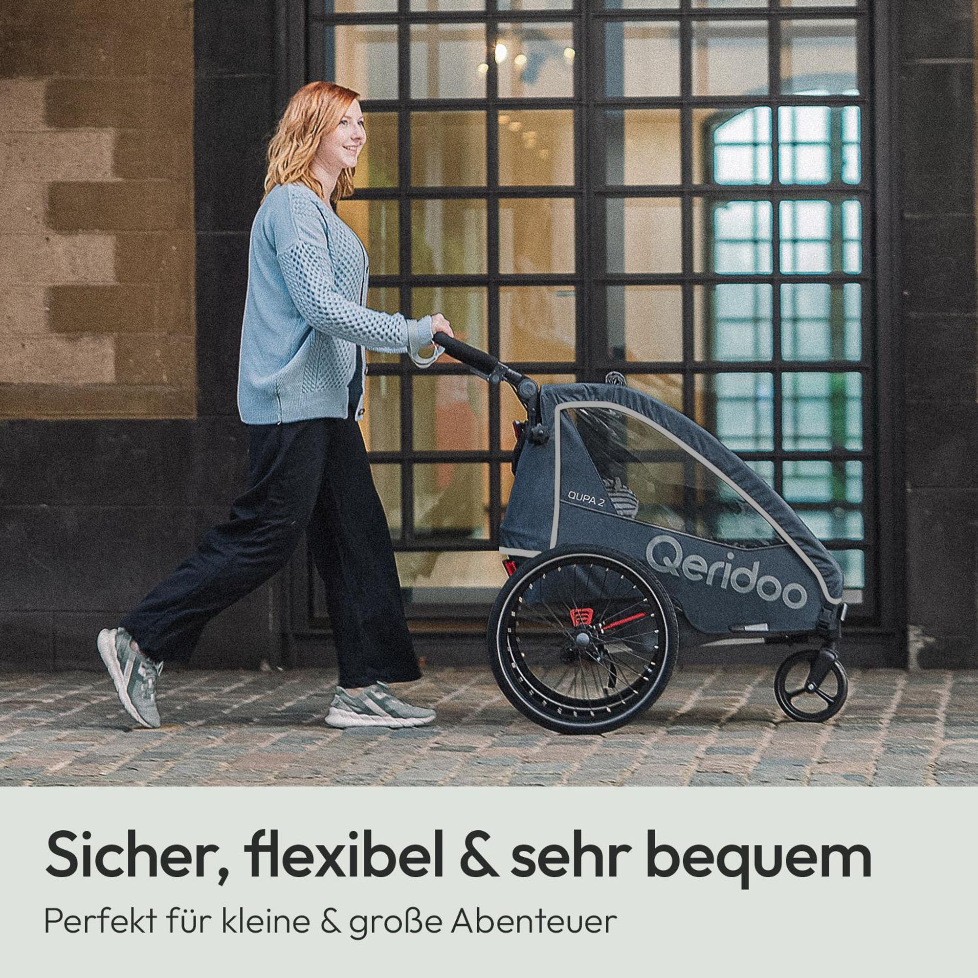 Qeridoo QUPA 2 - Kinderfahrradanhänger für 2 Kinder, Farbe: Grey
