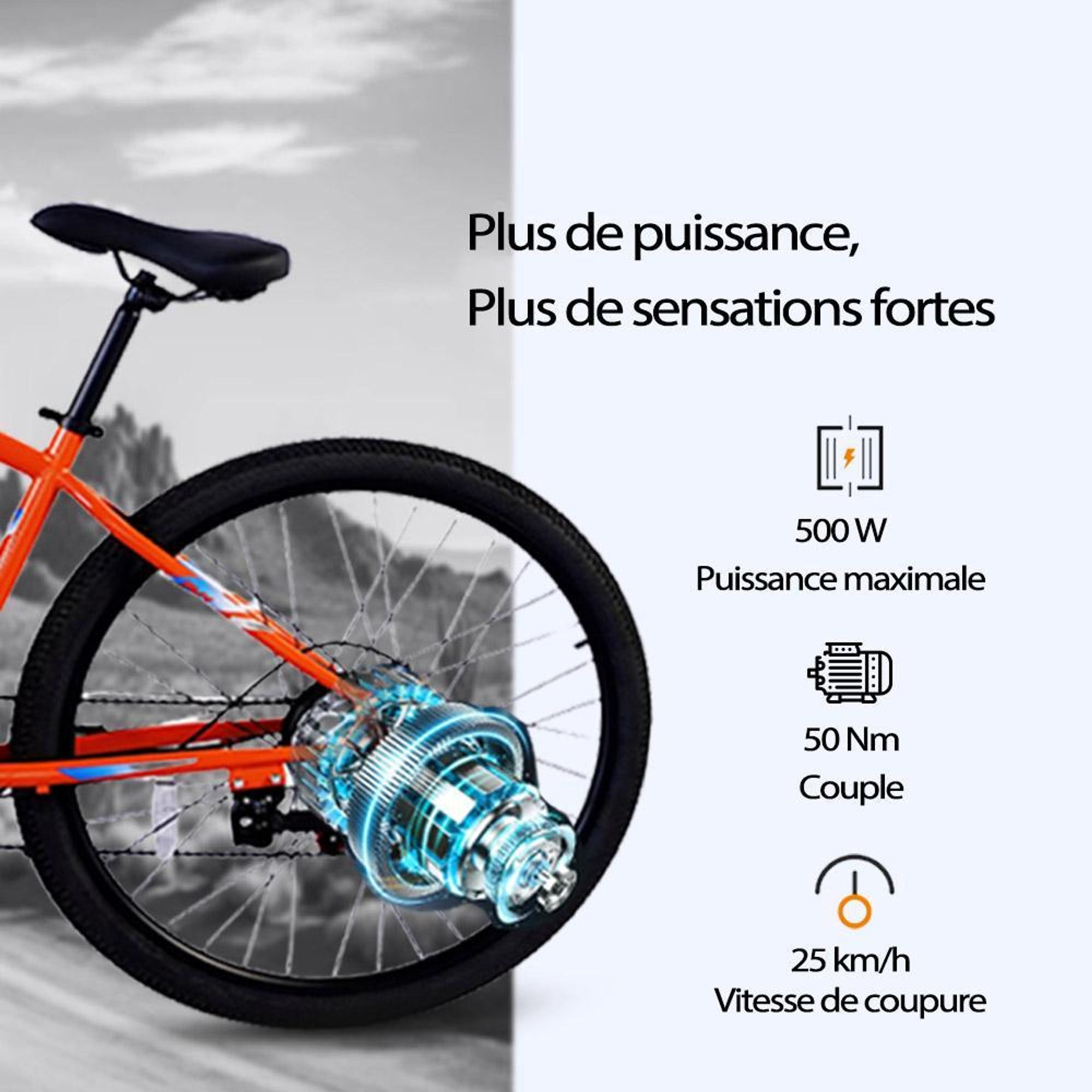 PVY M29 Vélo Électrique - Moteur 250W Batterie 48V17.5AH Pneus 29" Freins à Disque Mécaniques - Gris