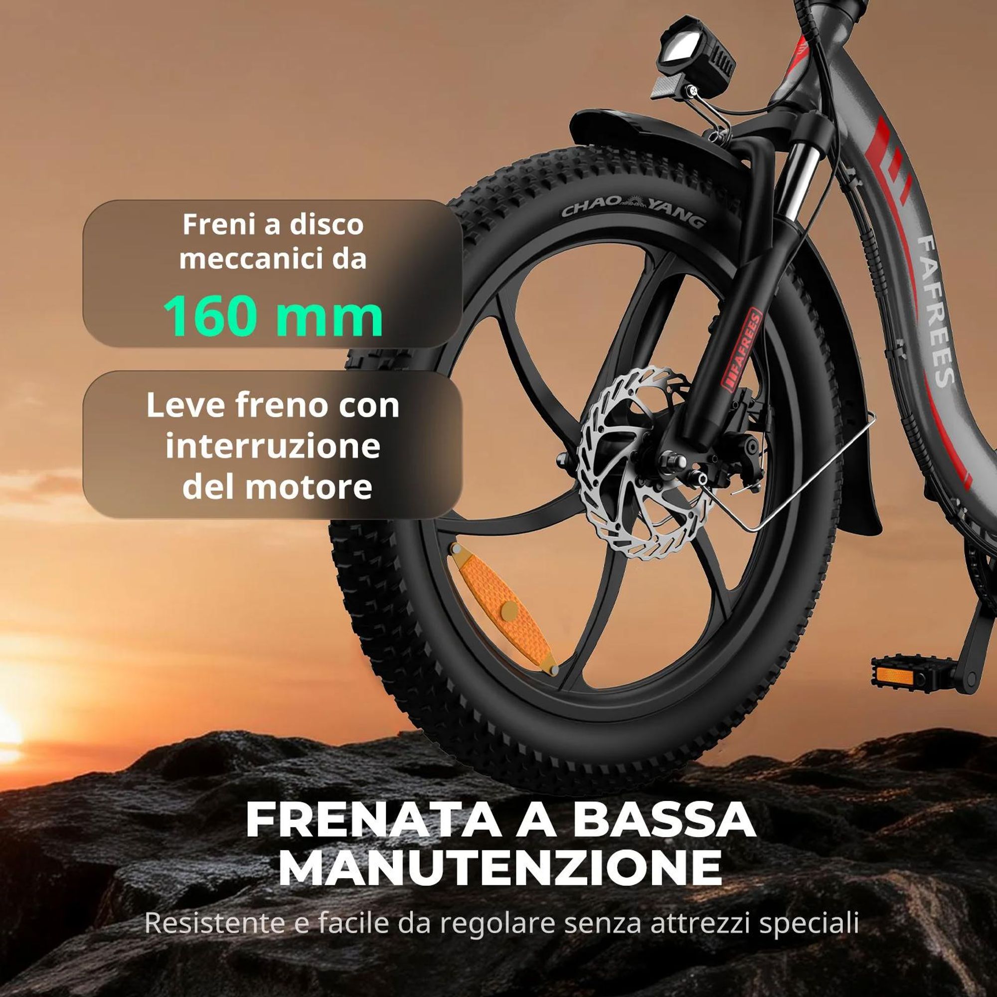 FAFREES F20 Bicicletta Elettrica - Motore 250W Batteria 36V18Ah Ruote 20'' Freno a Disco Meccanico - Grigio