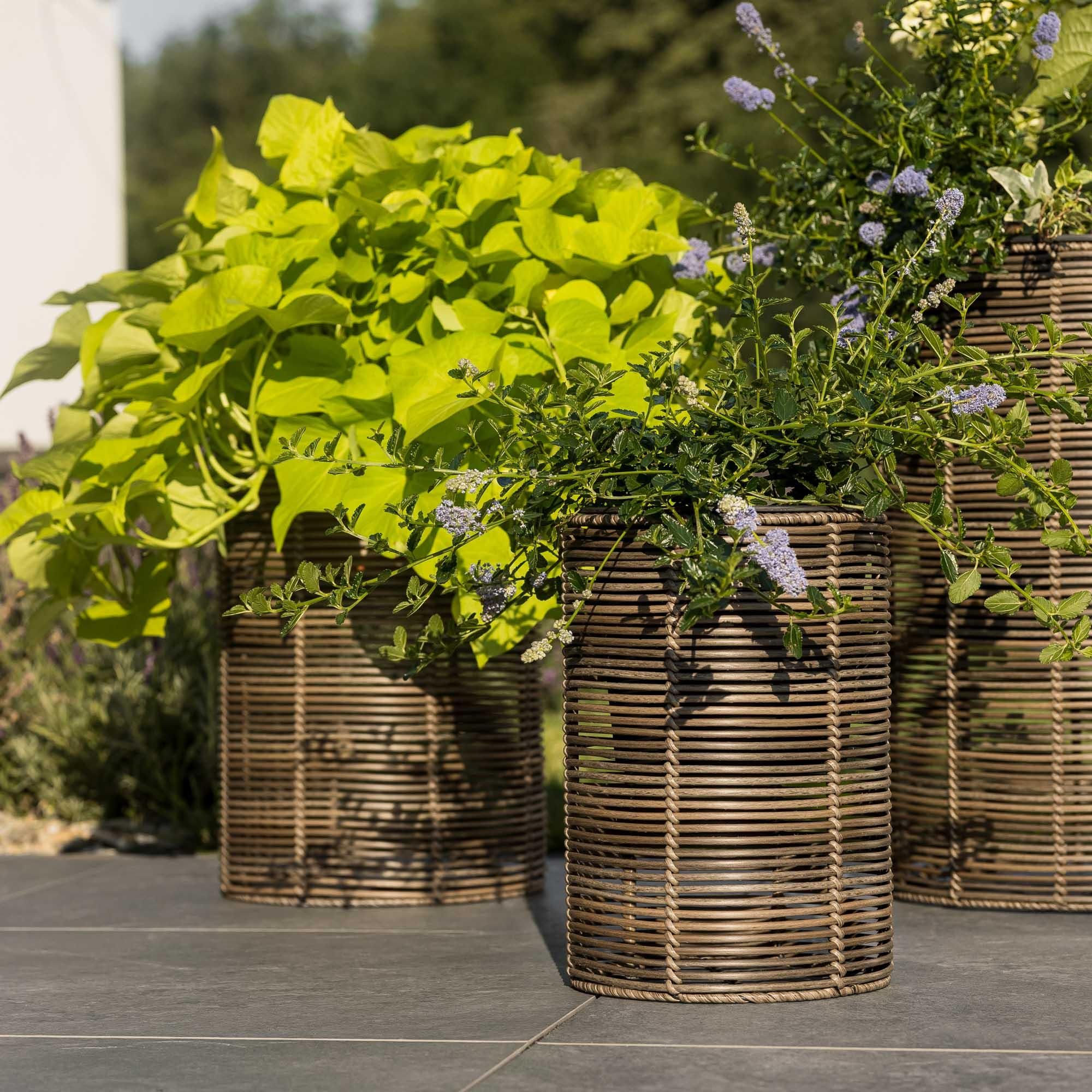 di volio Pflanzkübel Set VITARBO – 3 hohe Blumentöpfe aus Polyrattan mit Kunststoffeinsatz, wetterfeste Rattan Blumenkübel für Außen (Braun)