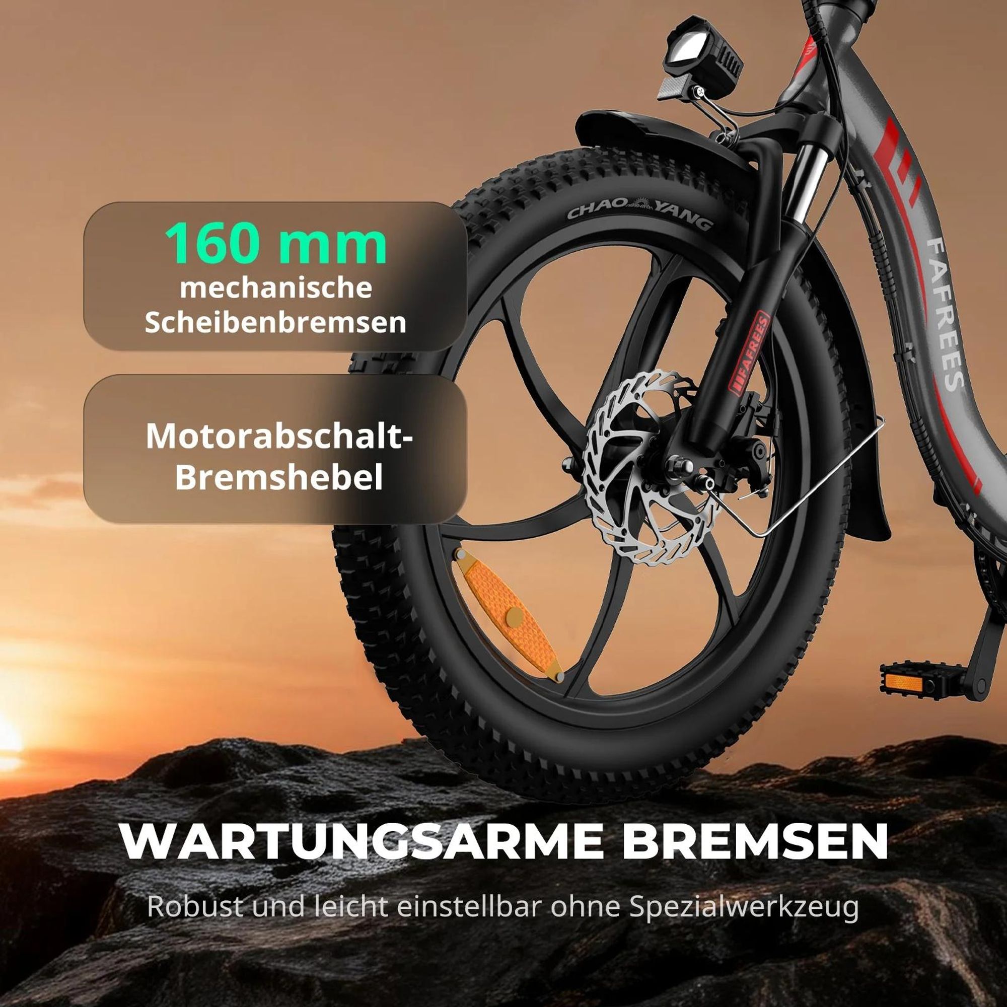 FAFREES F20 Elektrisches Fahrrad - Motor 250W Akku 36V18Ah 20'' Scheibenbremsen - Grau
