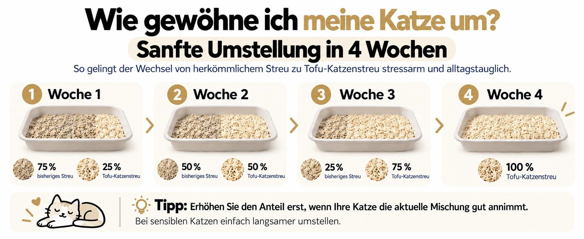 Schrittweise Umgewöhnung einer Katze auf PET VIOLET Tofu Katzenstreu Natur in vier Wochen