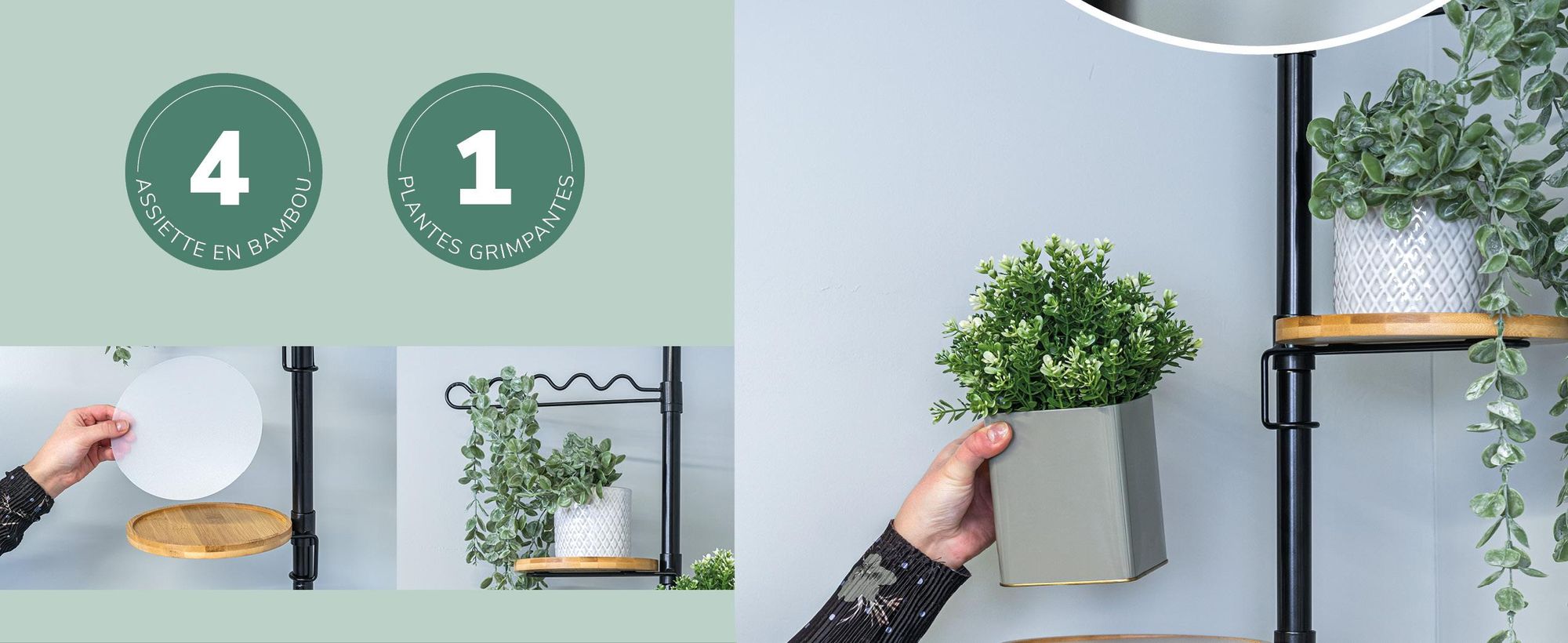 Étagère télescopique pour les plantes dans le salon