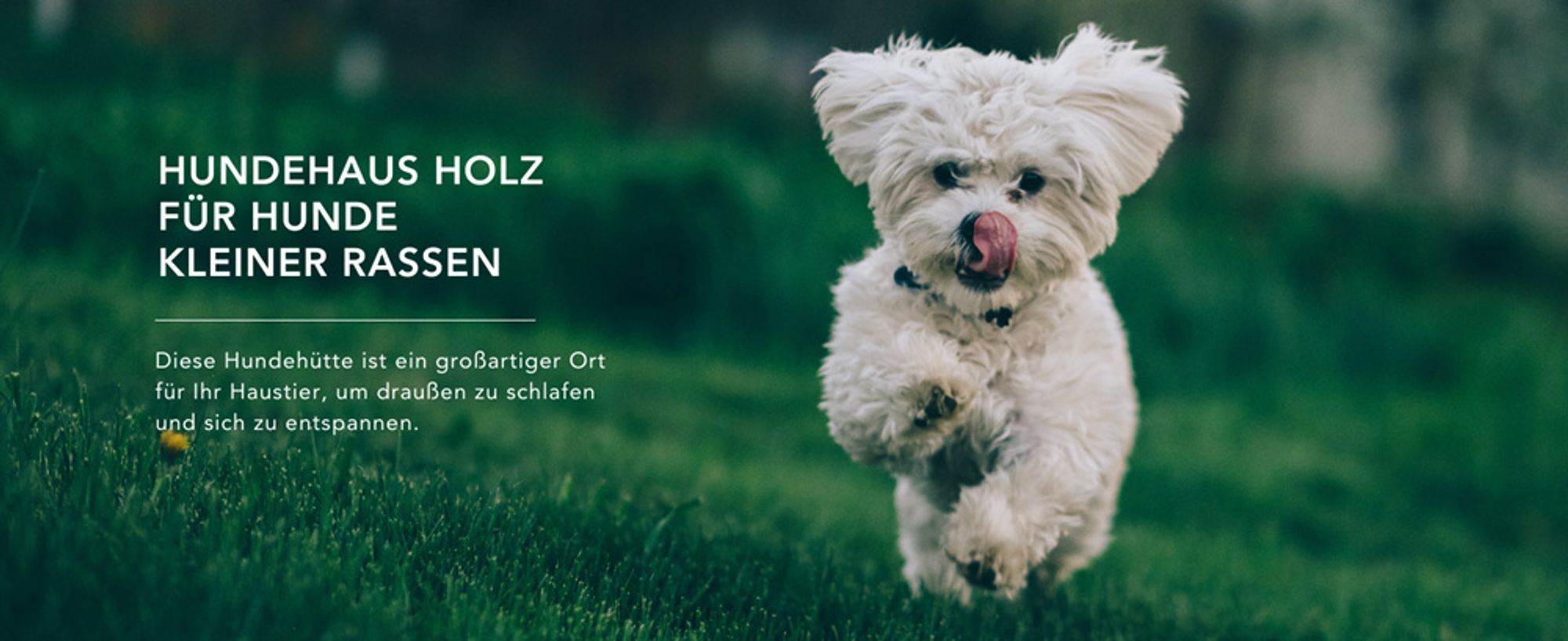 Hundehütte Outdoor kleine Hunde – Hundehaus Holz für Kleiner Rassen, wasserfestes Dach 87 x 102 x H84 cm, Größe S, Timbela M405-1