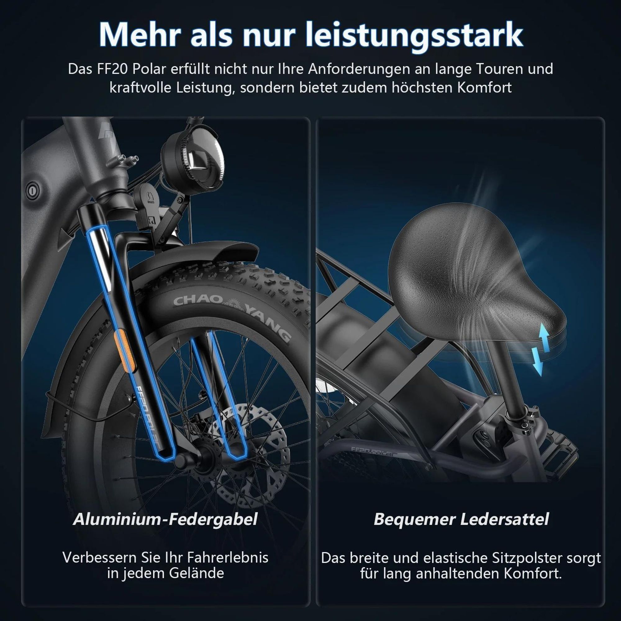 E-Bike FAFREES FF20 Polar - Batterie 48V12*2AH 20" Hydraulische Scheibenbremse - Grau Blau