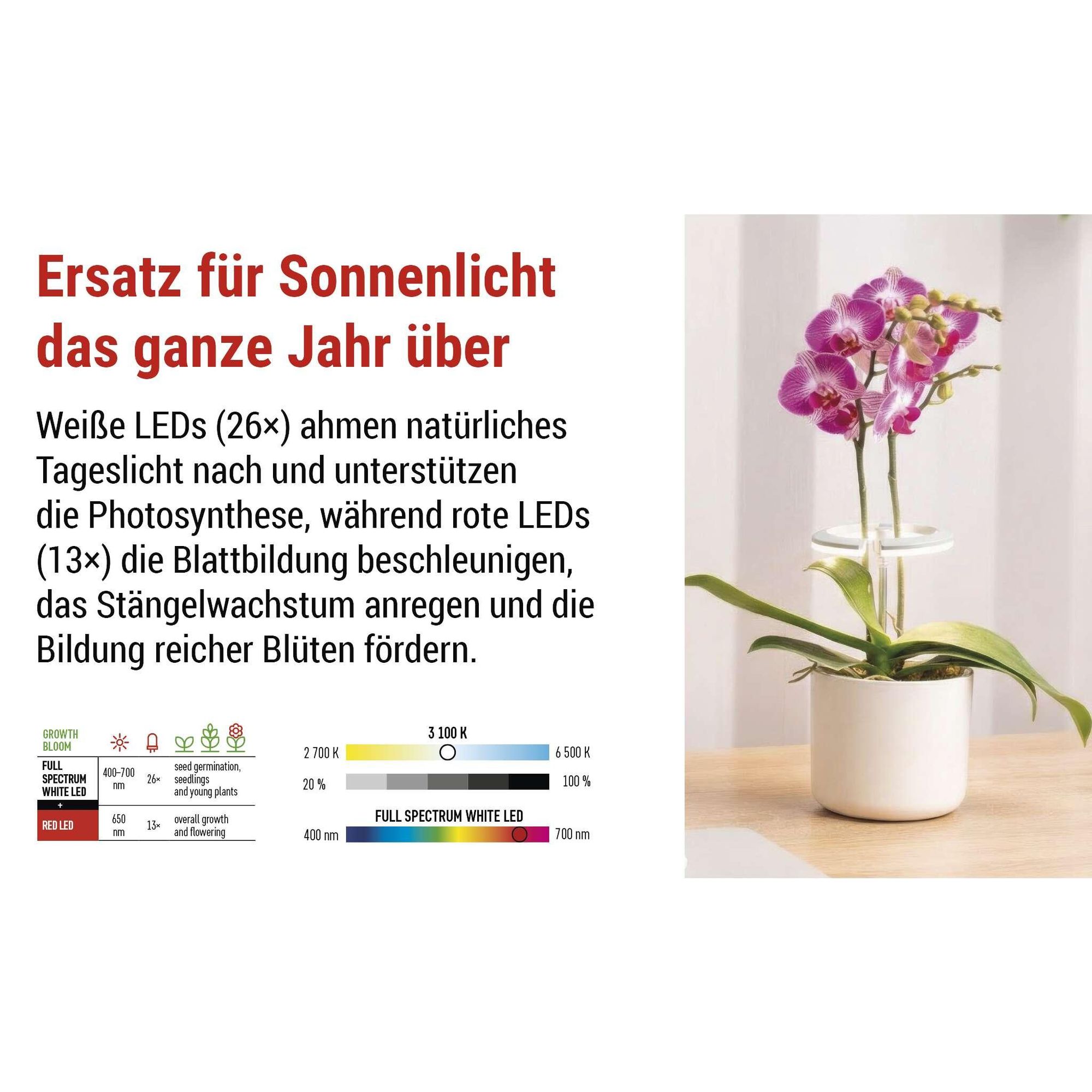 EMOS LED-Grow-Lampe für Zimmerpflanzen und Sukkulenten, runde Wachstumslampe für Orchideen mit Timer, höhenverstellbar, 300lm, 1,7m USB-Kabel, Z7902